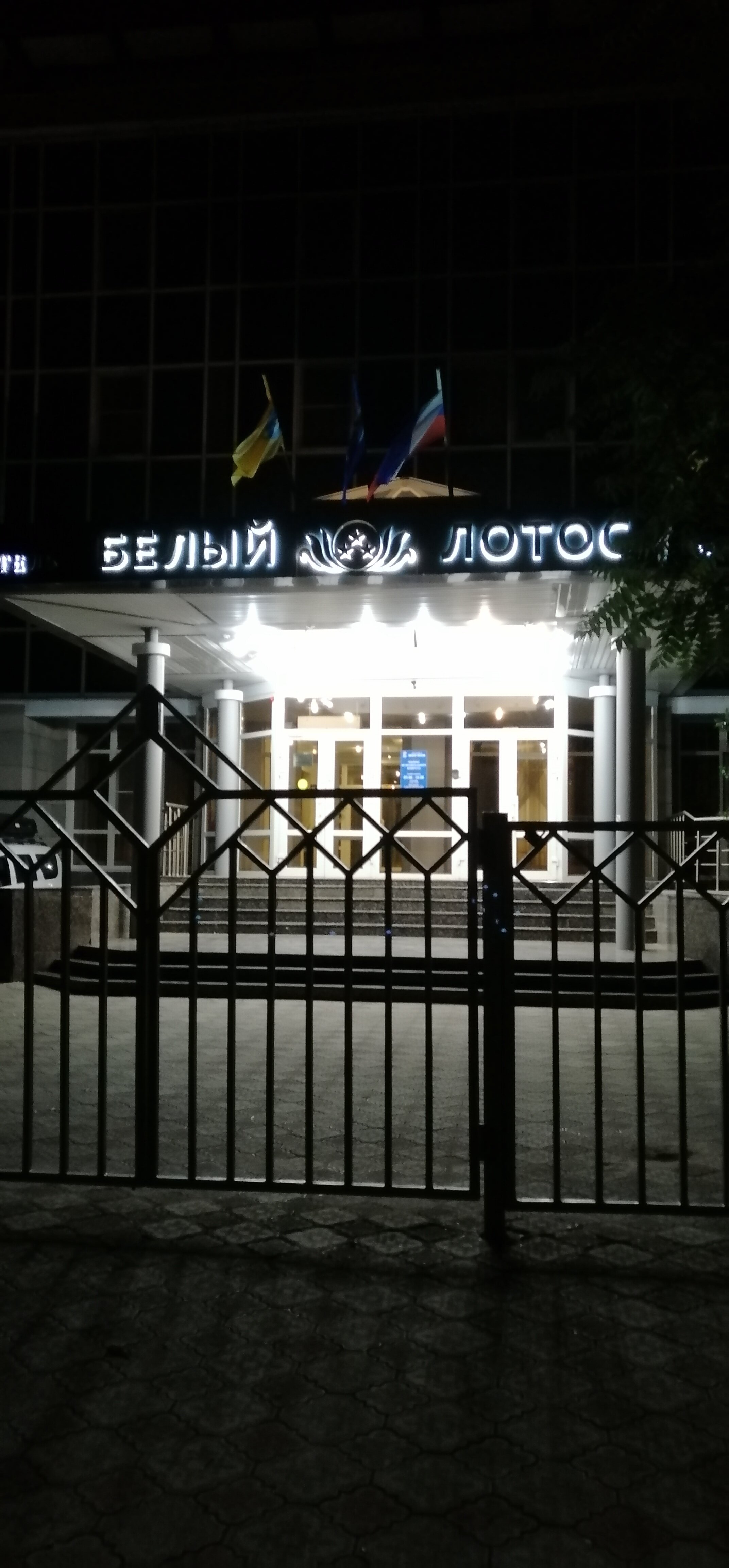 Фото Белый лотос