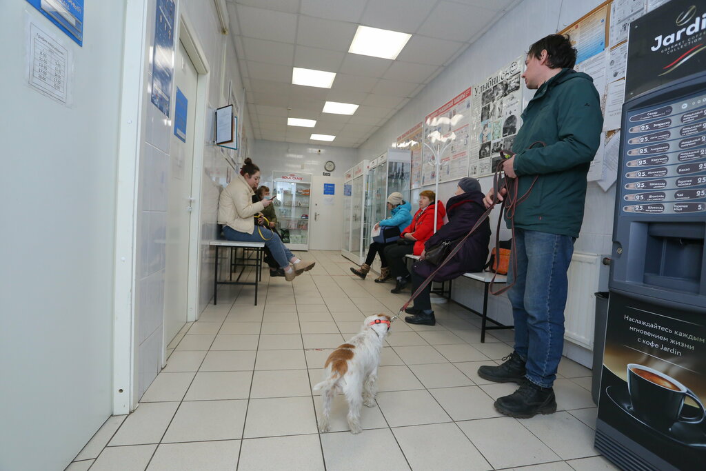 Veterinary clinic Veterinarnaya stantsiya Admiralteyskogo, Vasileostrovskogo i Tsentralnogo rayonov, Saint Petersburg, photo