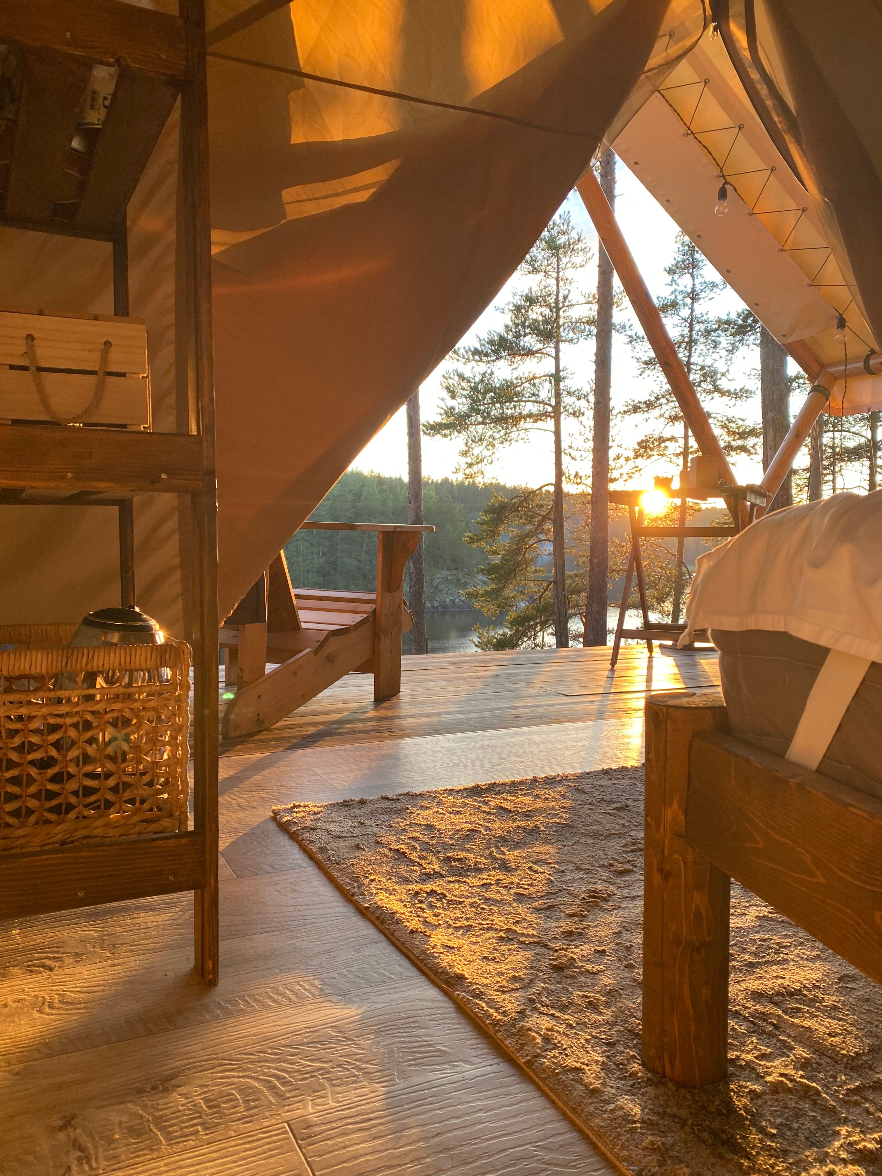 Фото Смородина