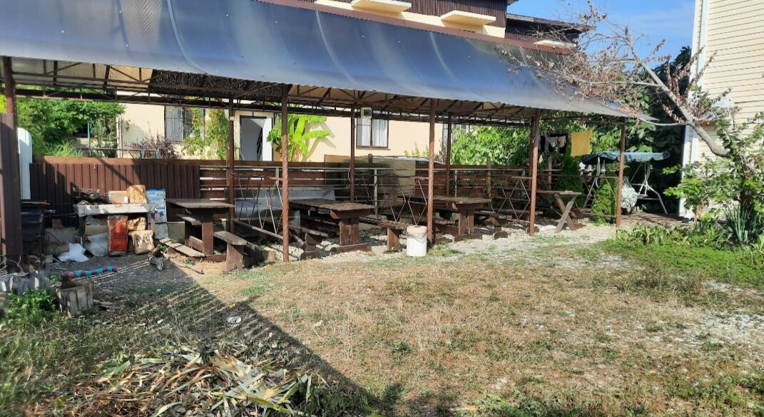 Фото Дельфин