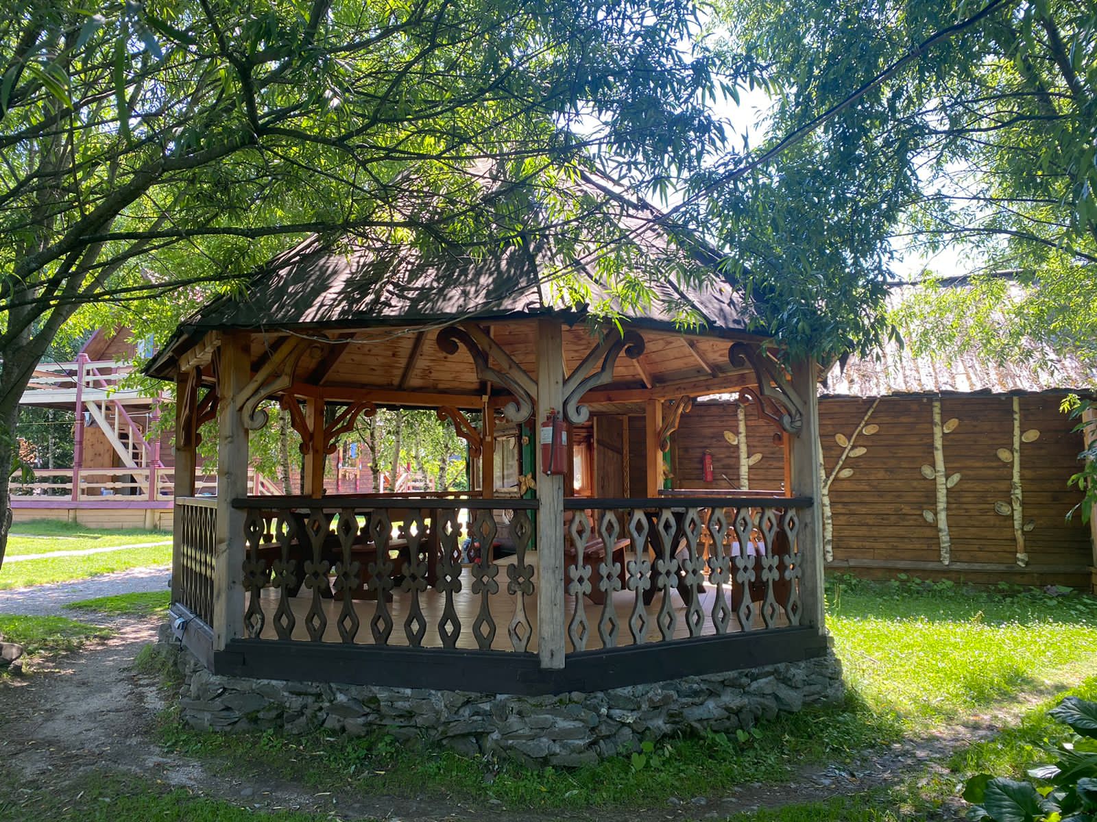 Фото Золотая рыбка