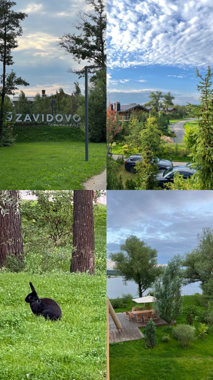 Фото Zavidovo SPA Village
