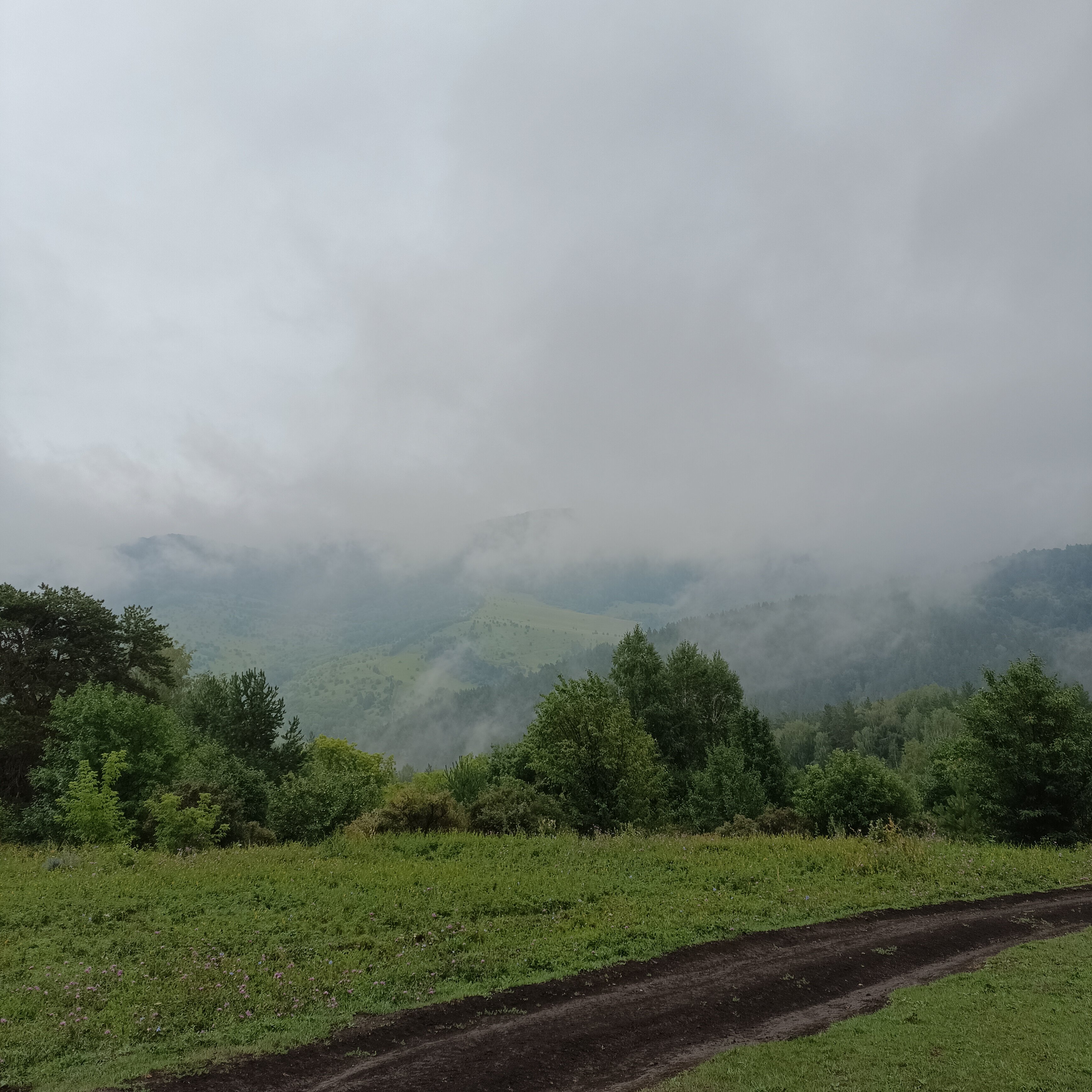 Фото Златогор