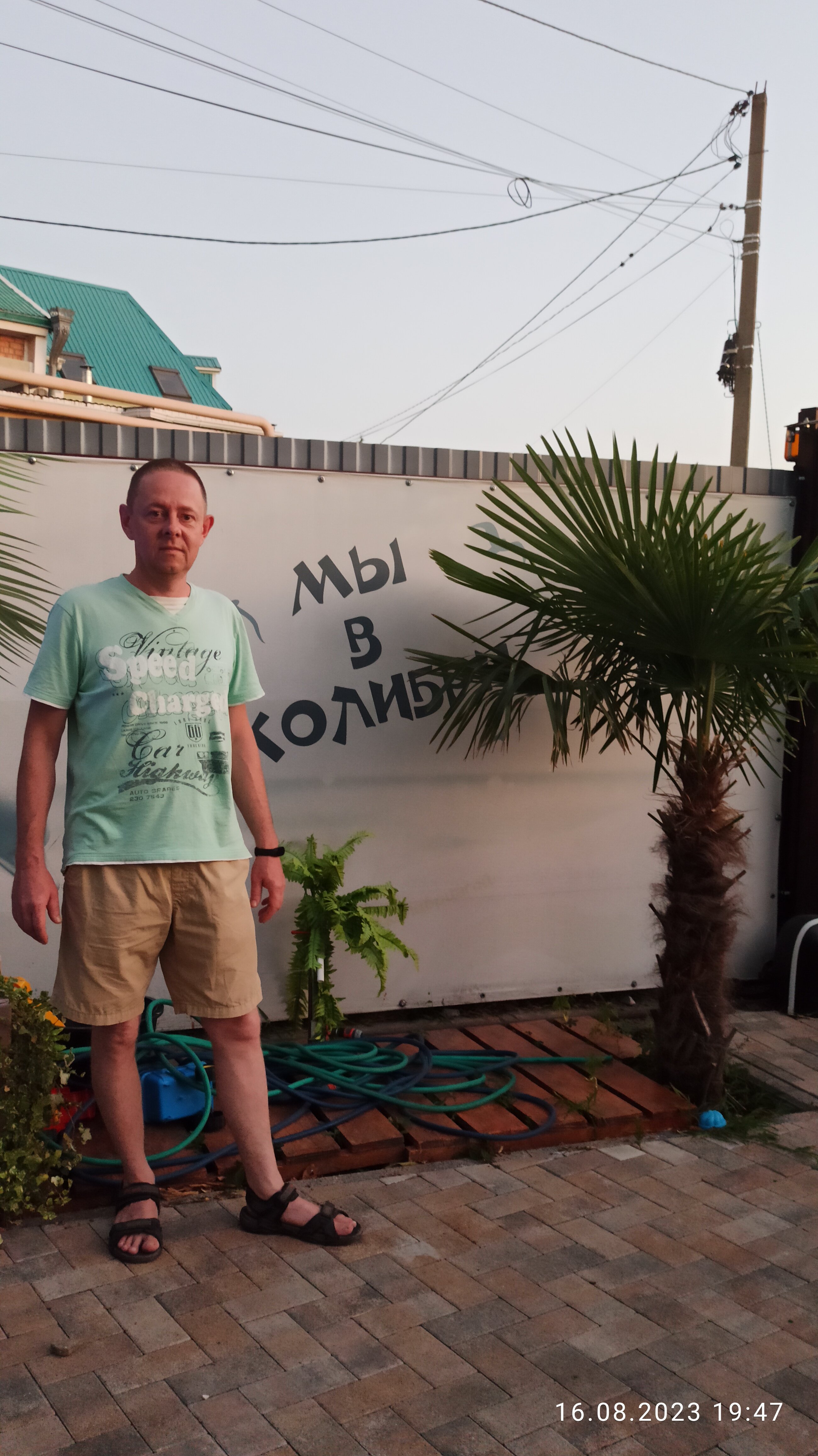 Фото Колибри