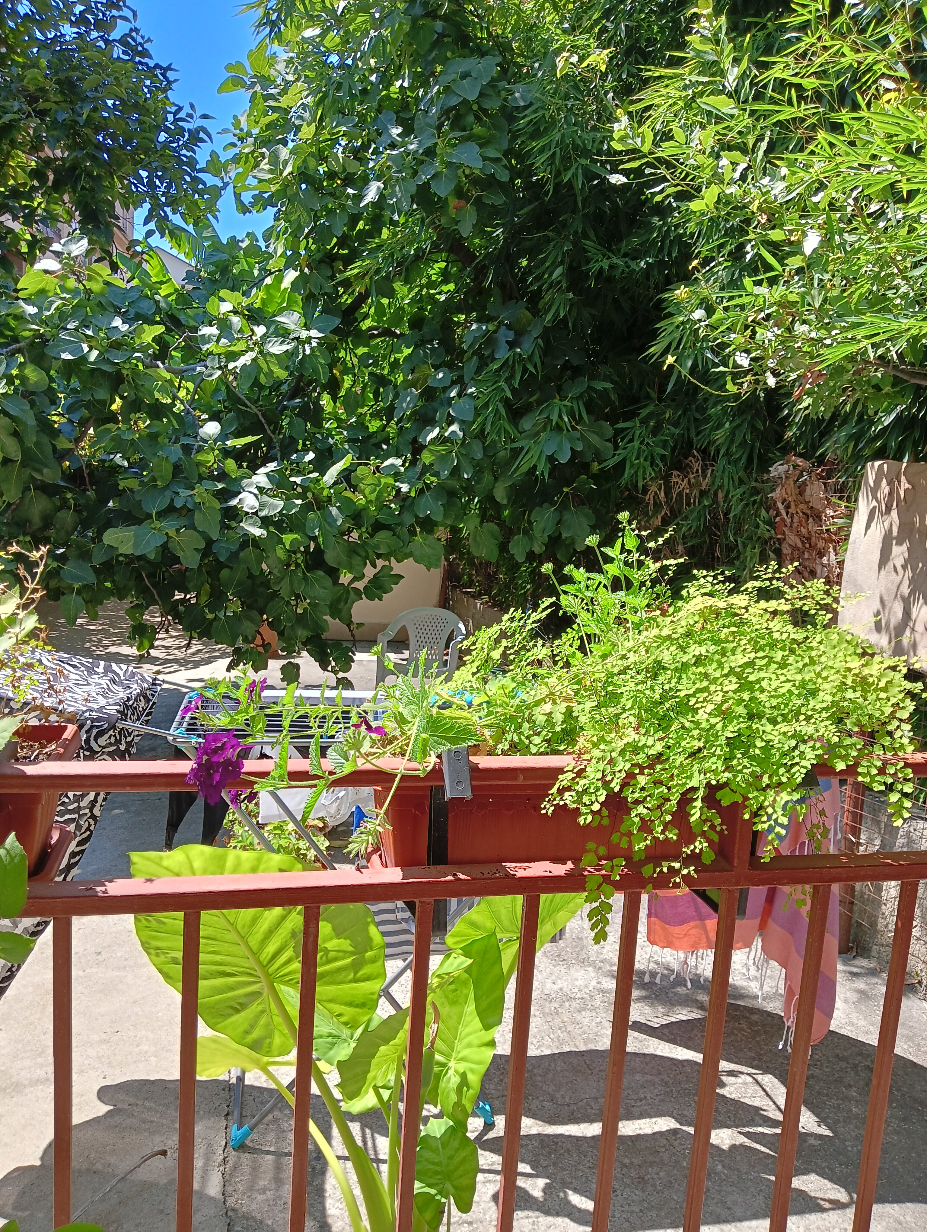 Фото Сабрина