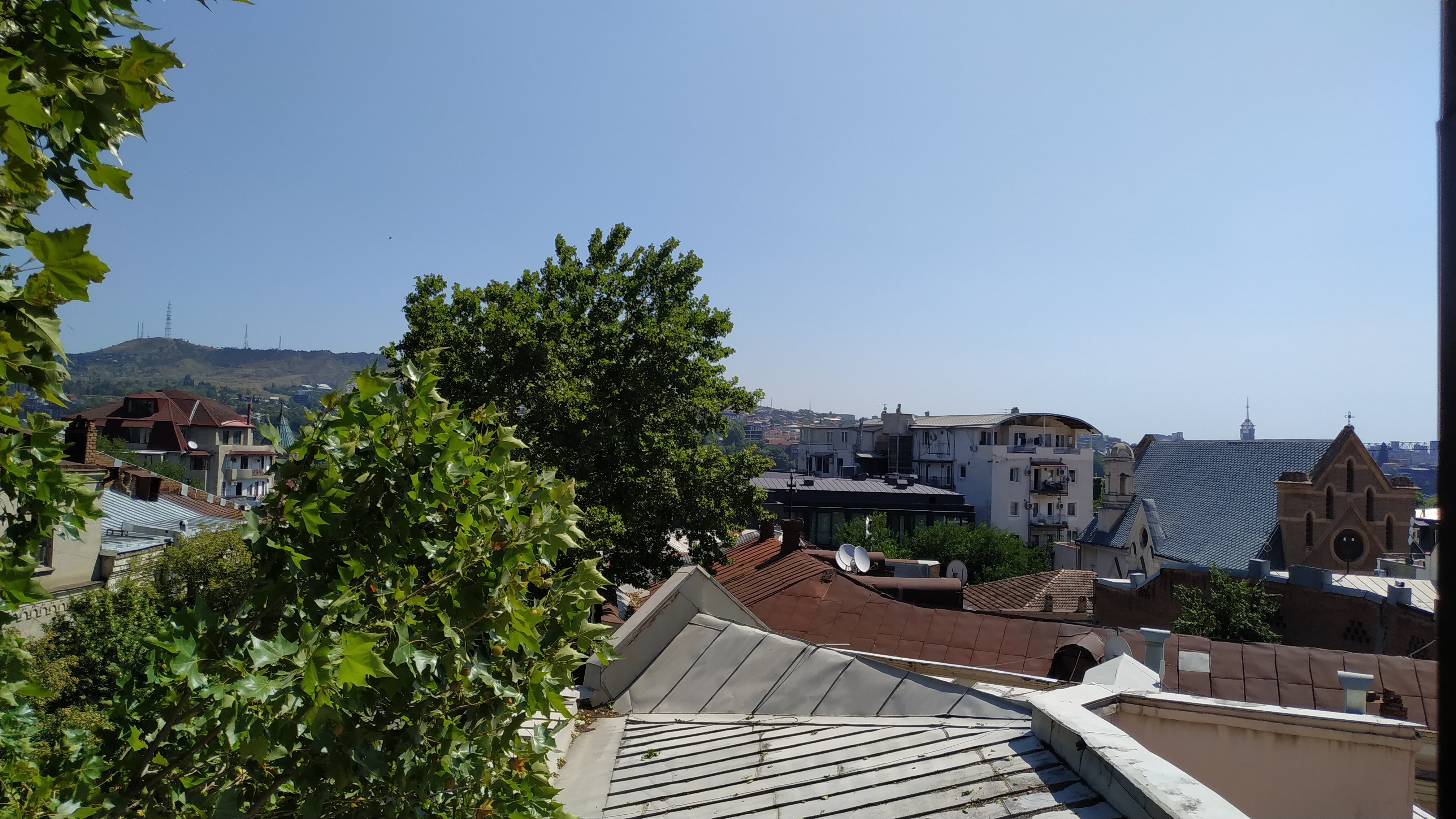 Фото Марлин