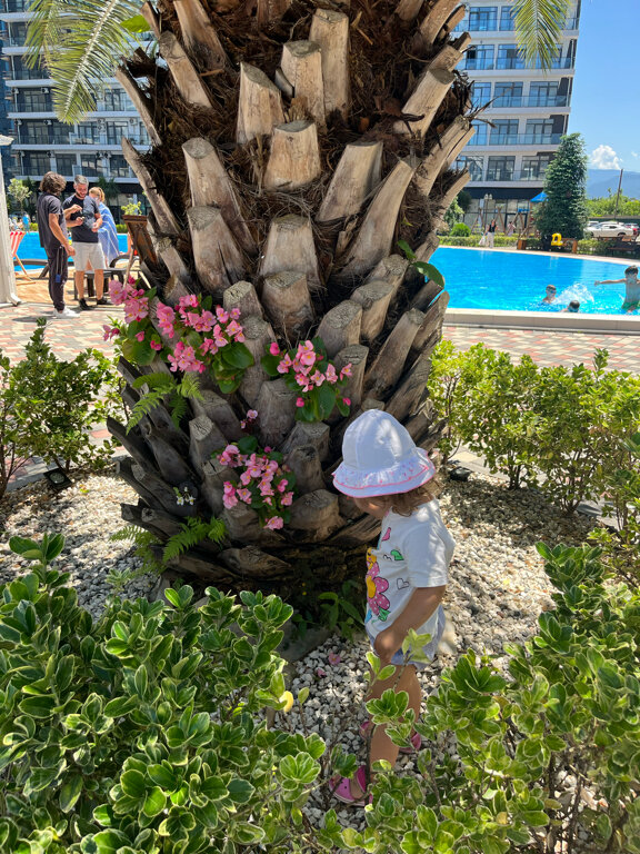 Фото White Sails Residential Hotel