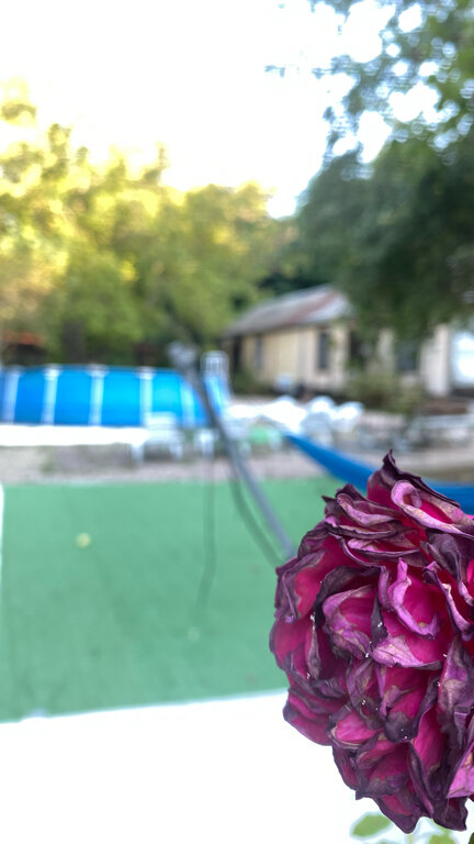 Фото Сосновый Бор