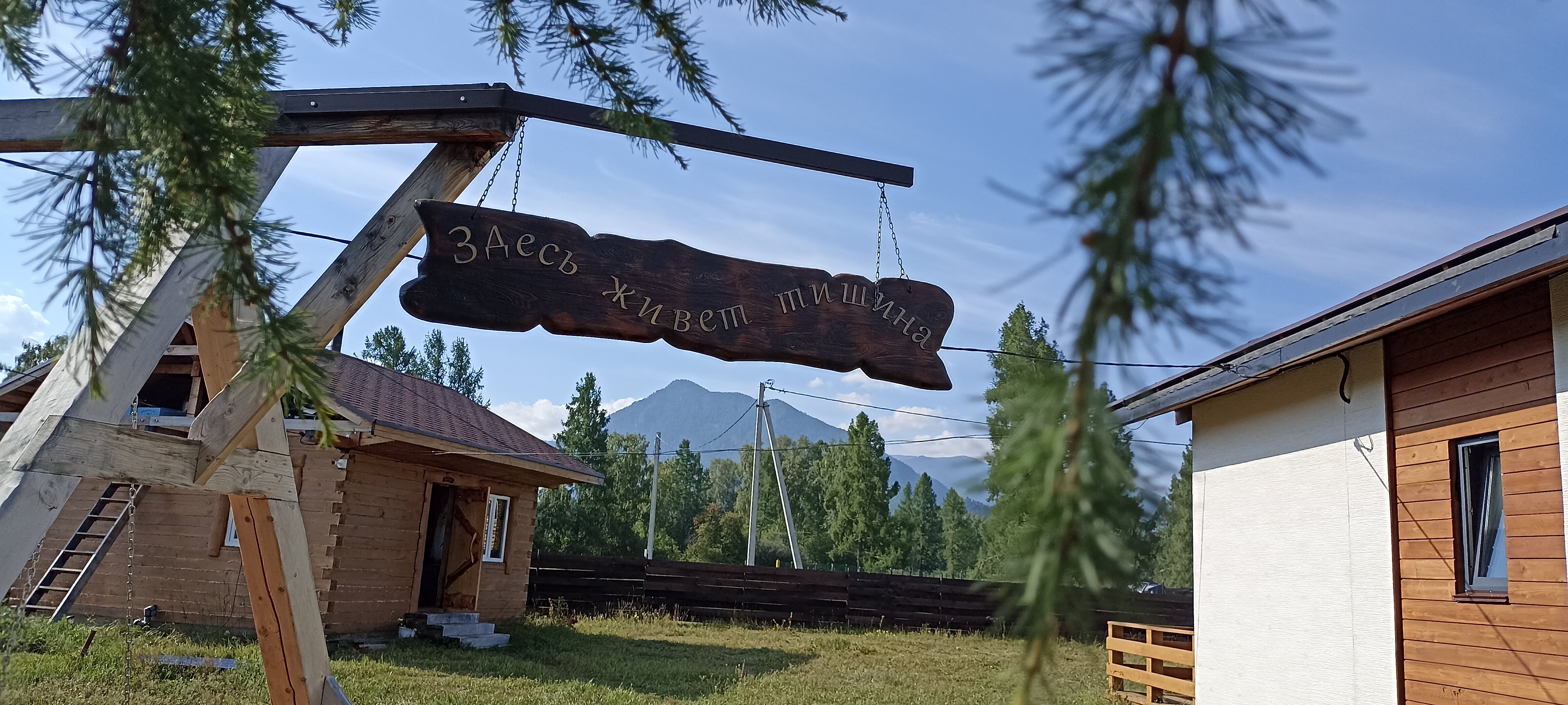 Фото Медуница