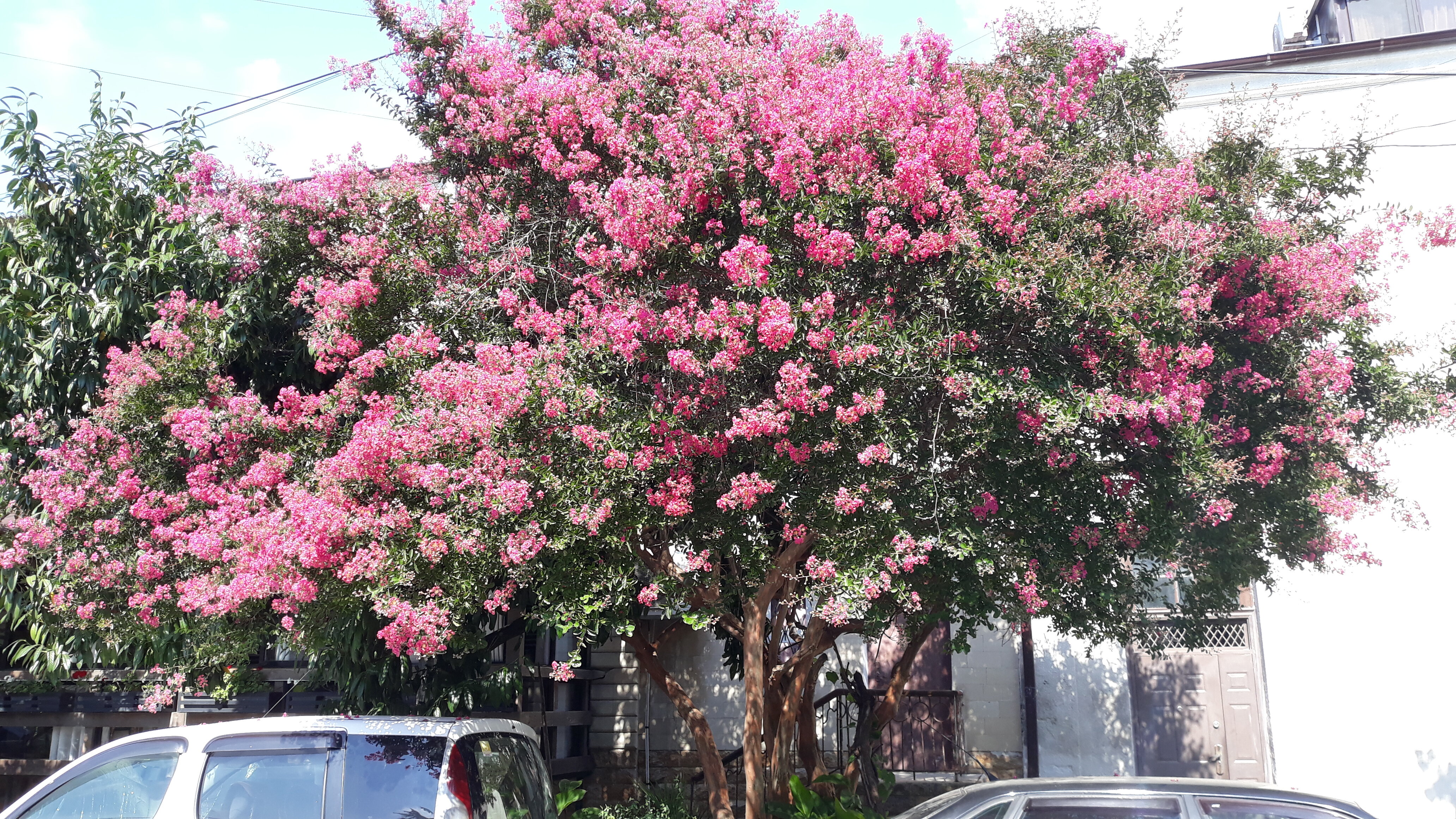 Фото Гостевой Дом Чегем
