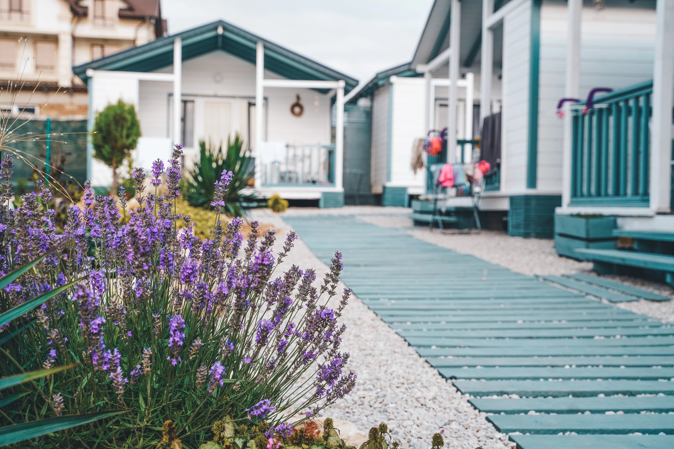 Фото Белый берег