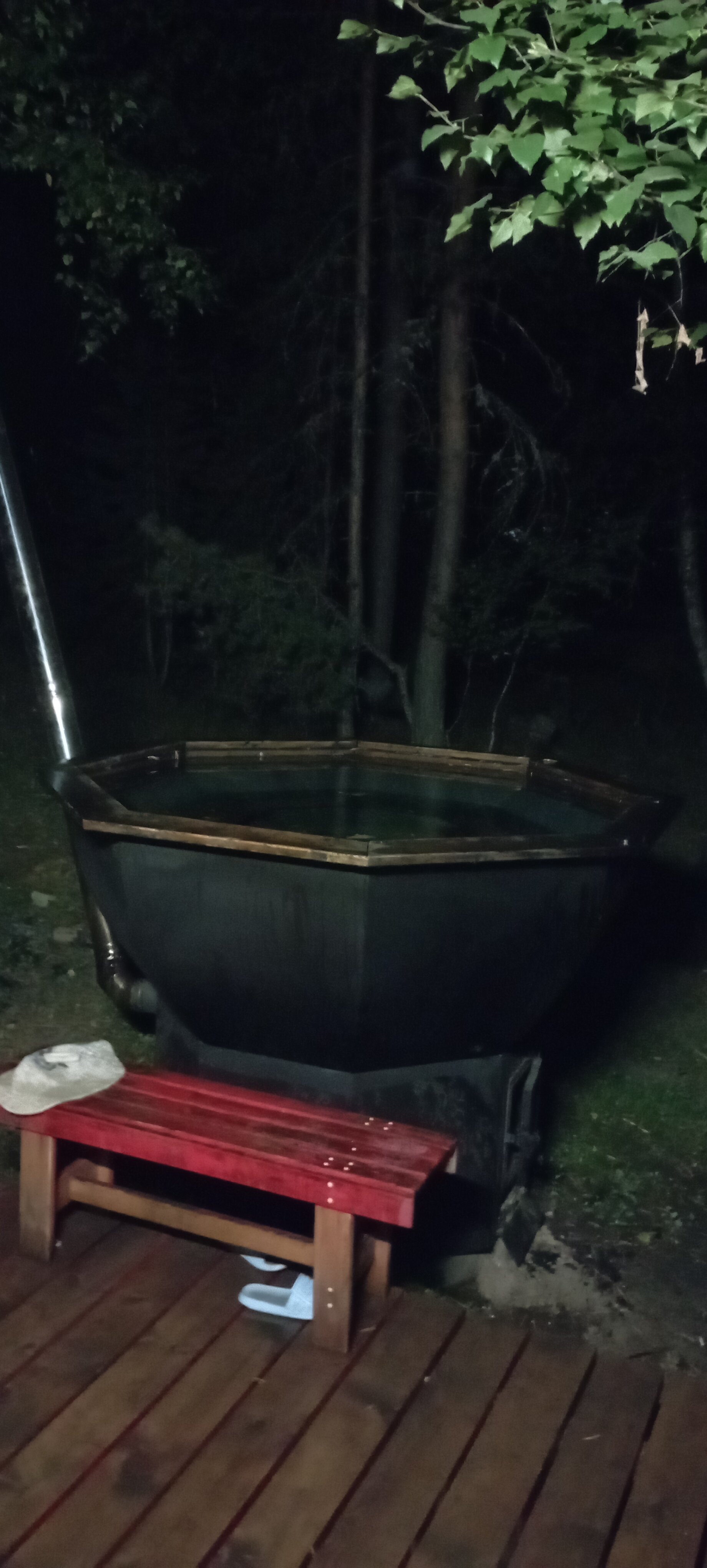 Фото Сосновый бор