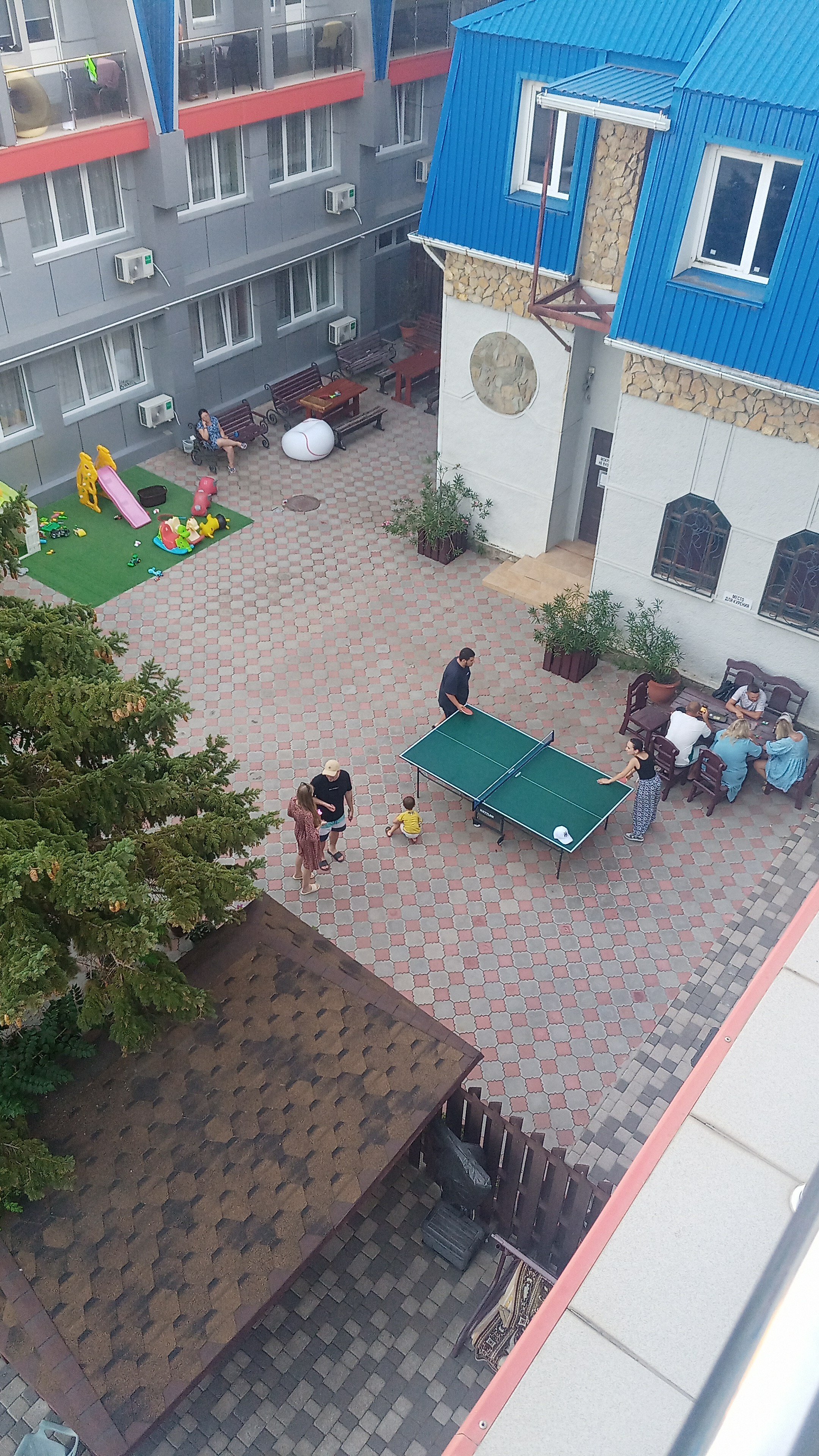 Фото Тополь