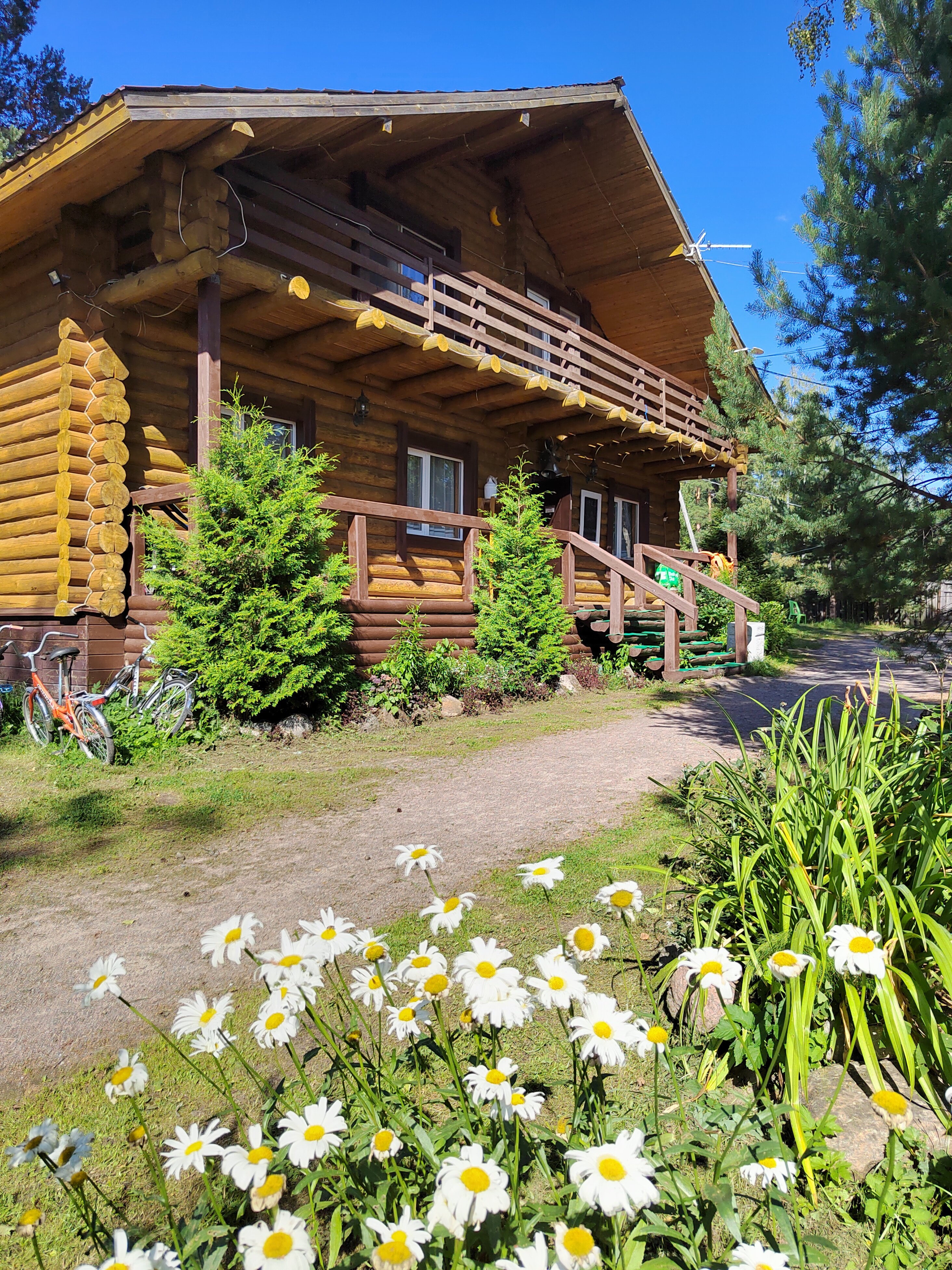 Фото Беличье