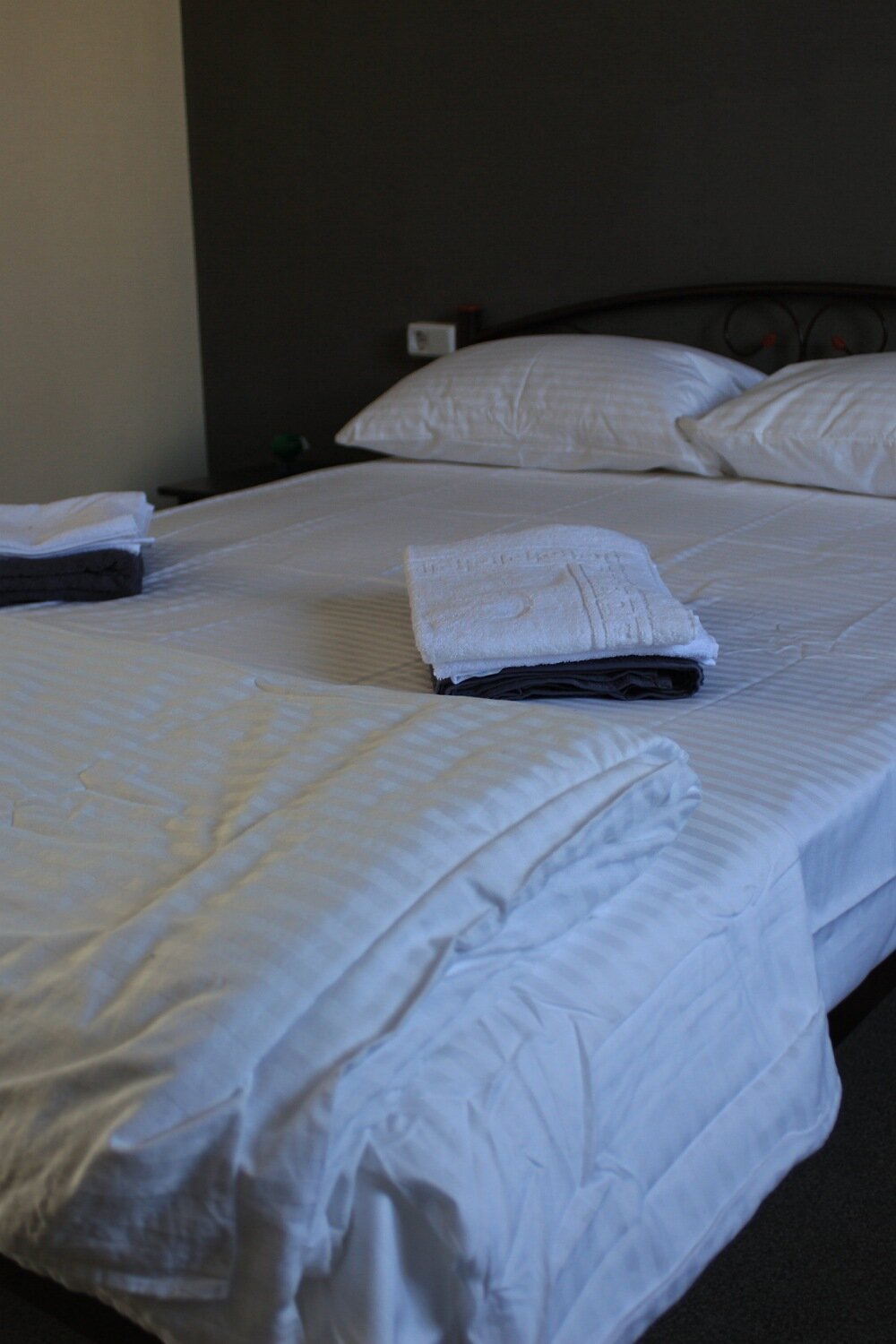 Фото Коралловая