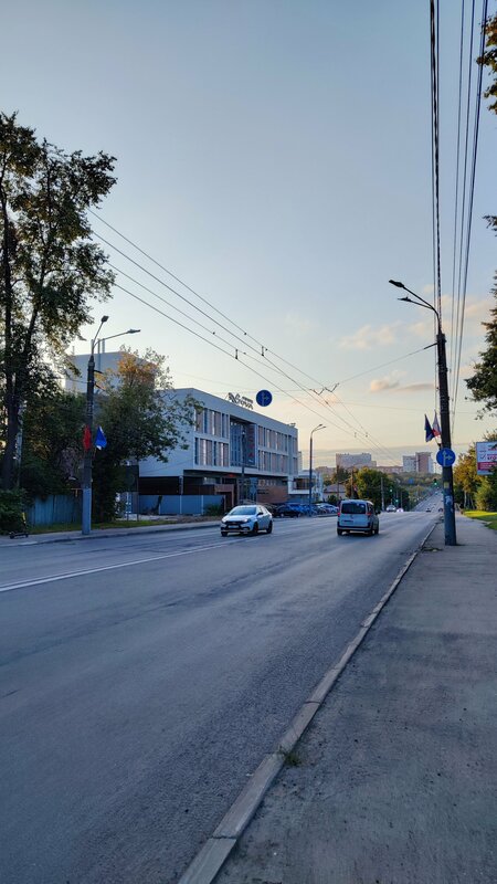 Сова — фото 13