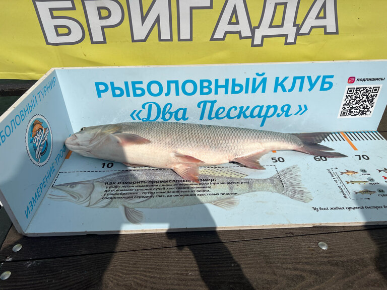 Фото Два пескаря