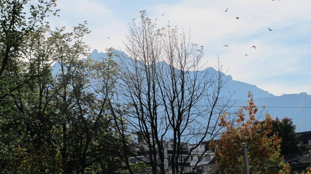 Фото Hotel Alpina