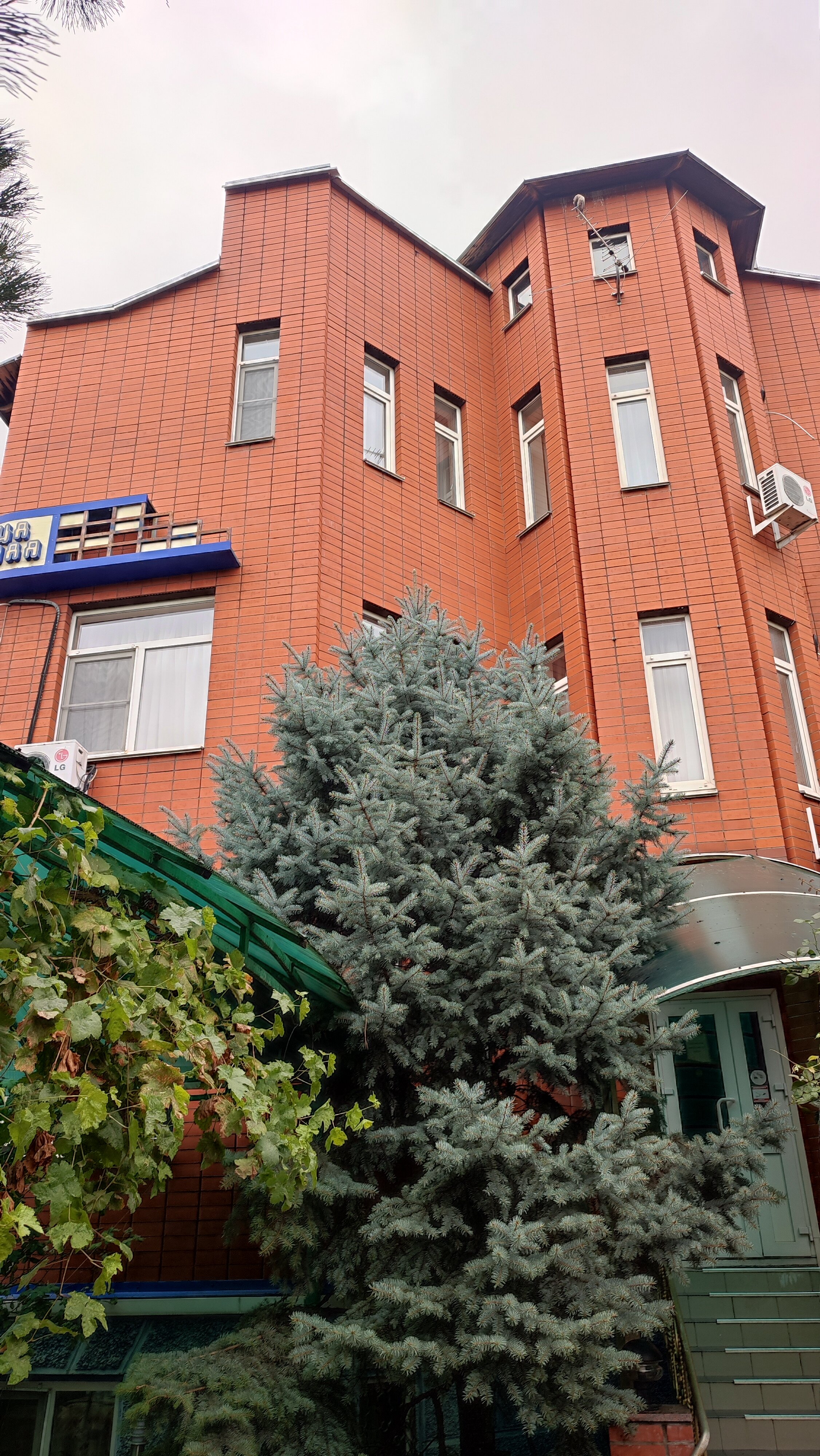 Фото Молодежная