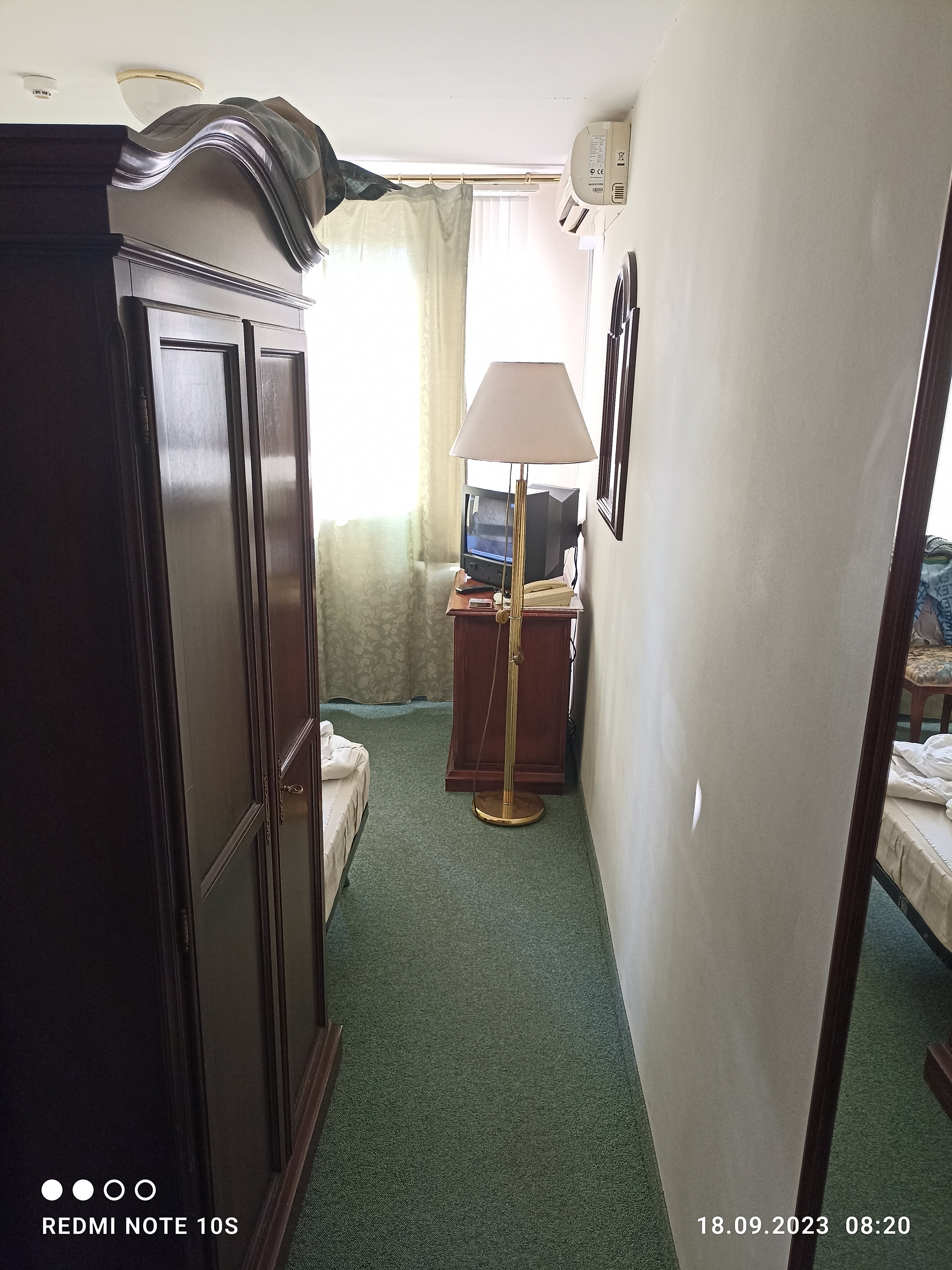 Фото Лебедь