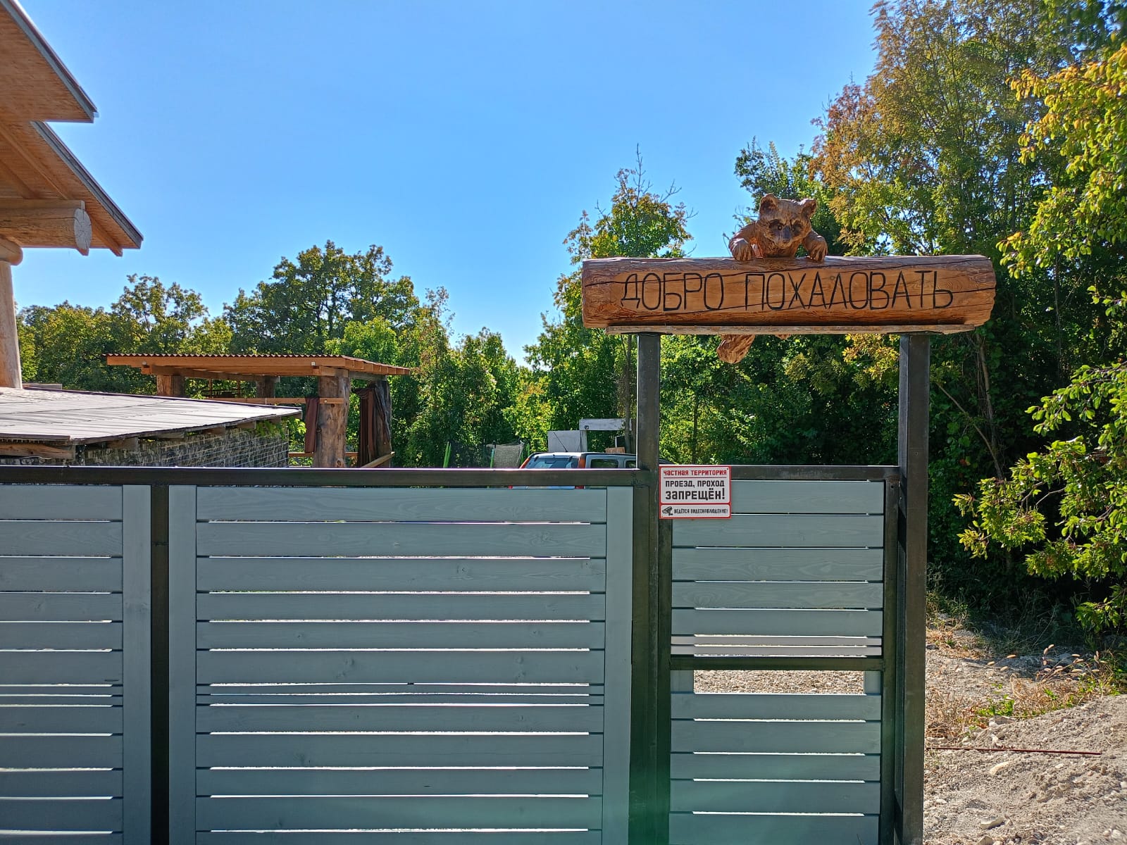 Фото Горный Енот