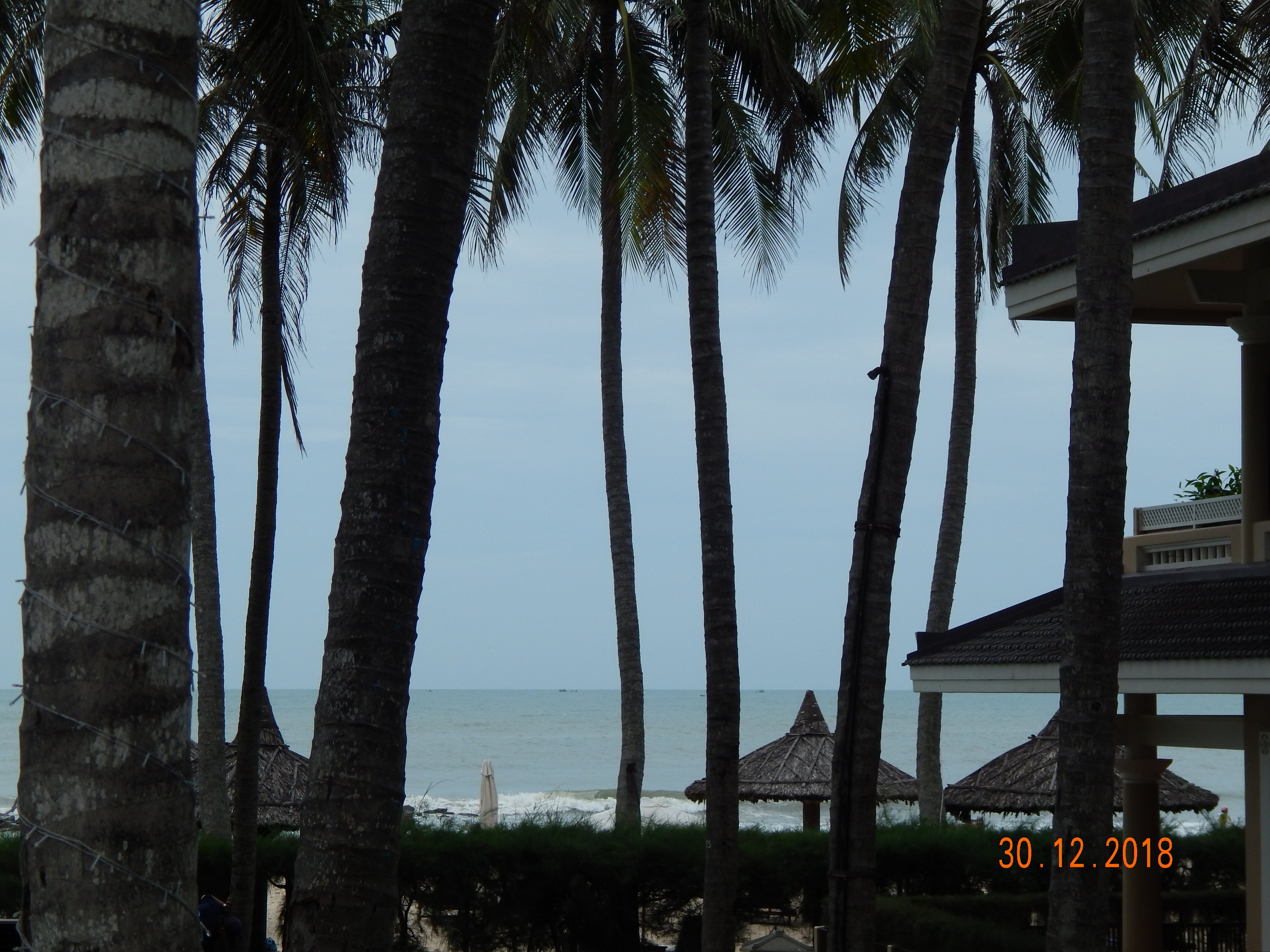 Фото Amaryllis Resort & SPA