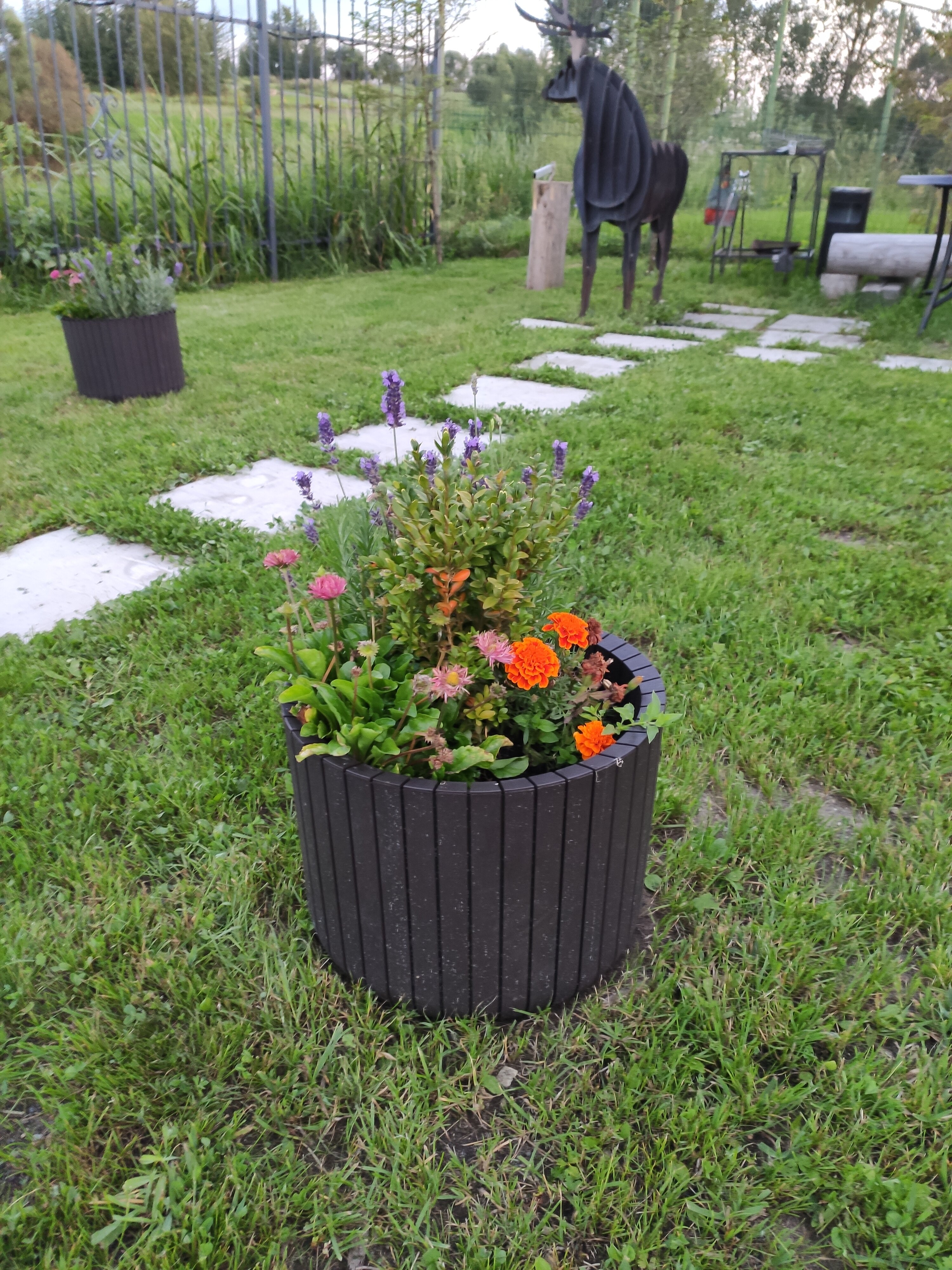 Фото Вилла Форца