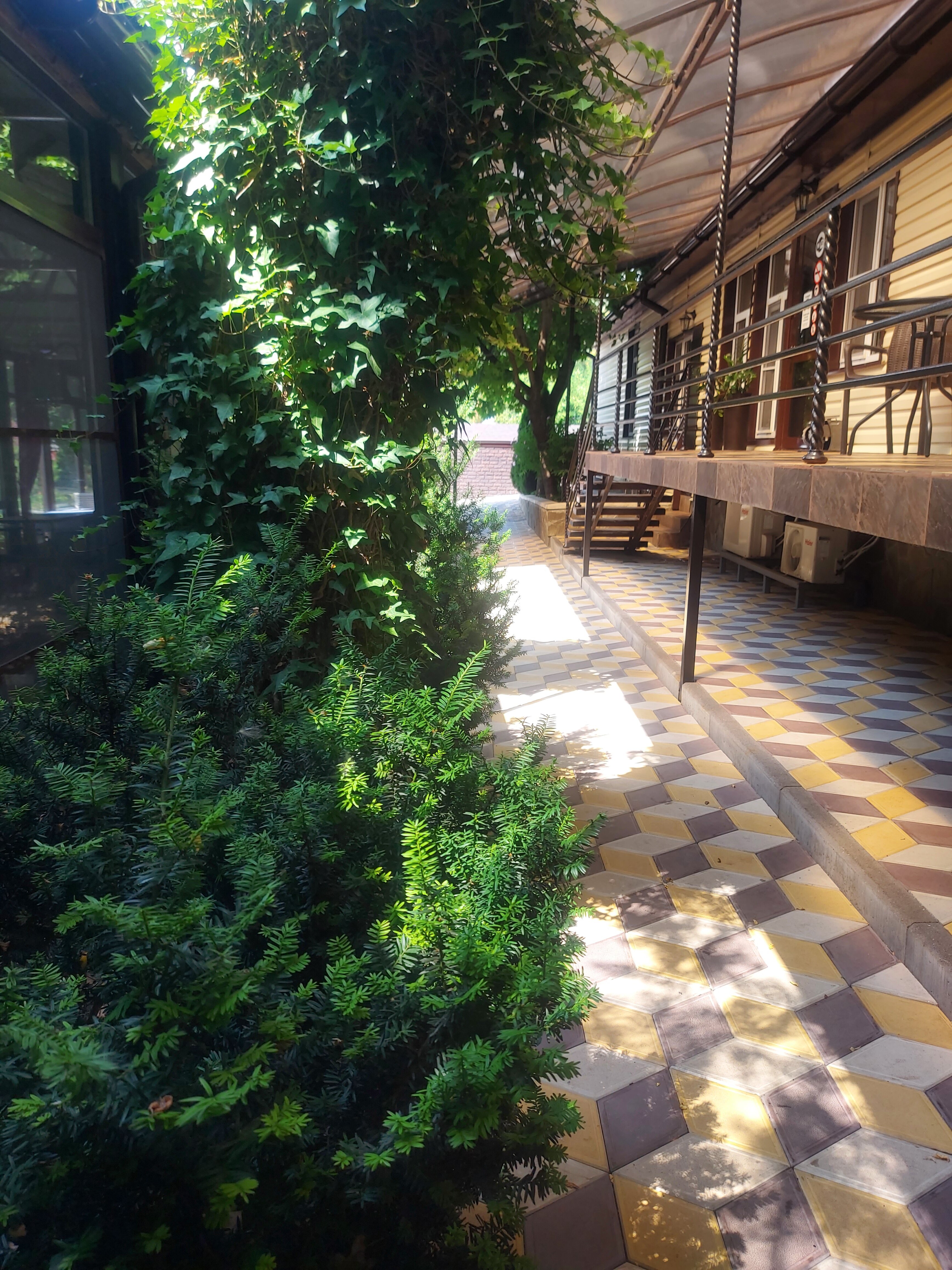 Фото Берег солнца