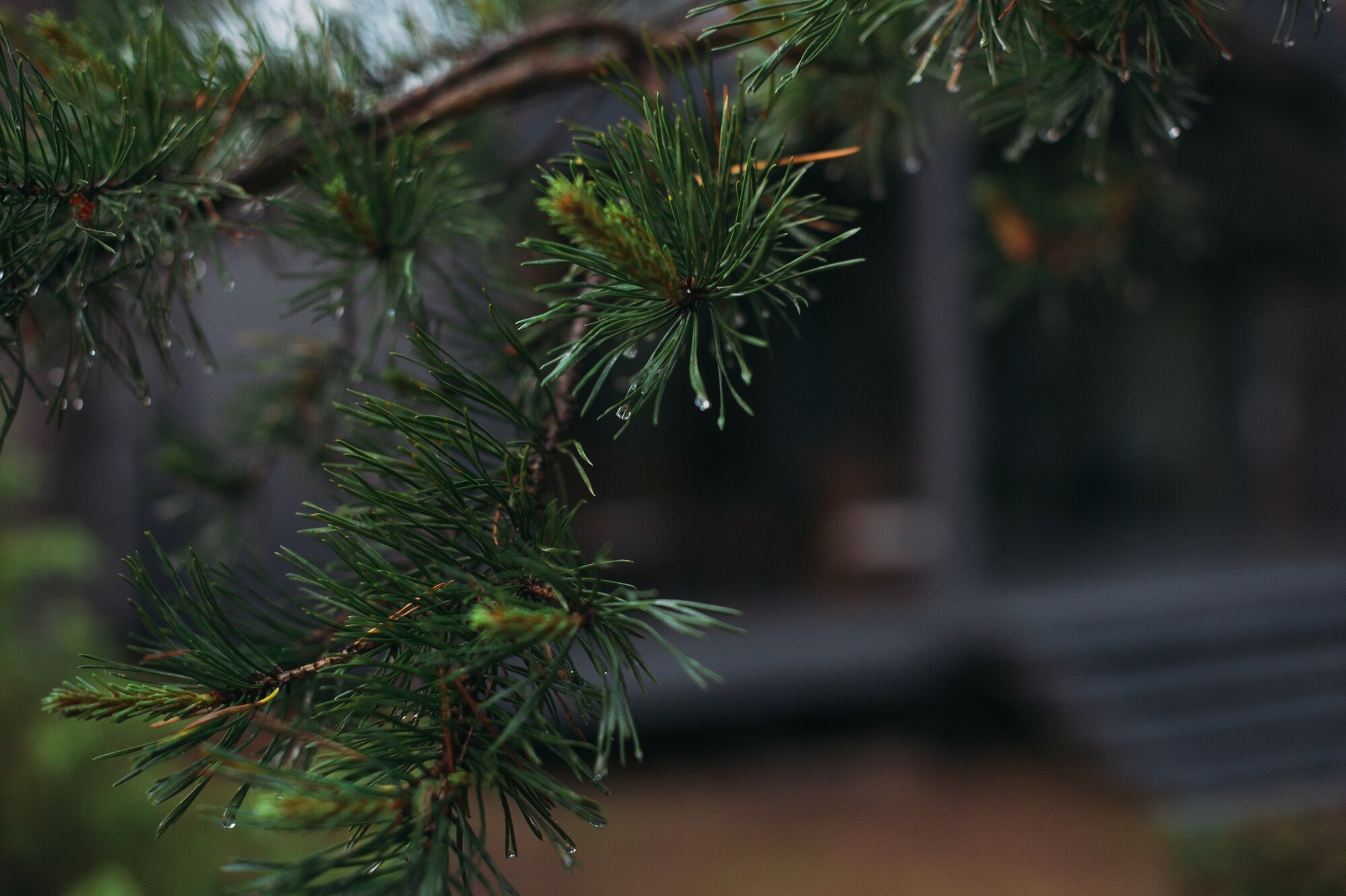 Фото Талицы Лодж