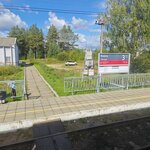 Янега (Leningrad Region, Lodeynopolskiy rayon, Yanegskoye selskoye poseleniye, posyolok Yanega), train station