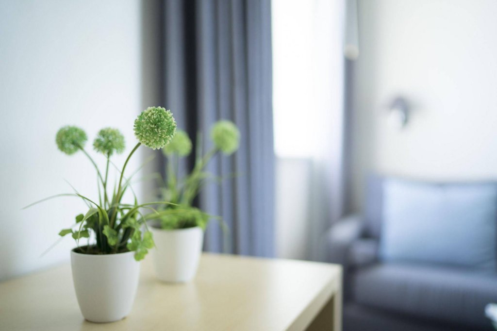 Фото Club Meeting Hotel