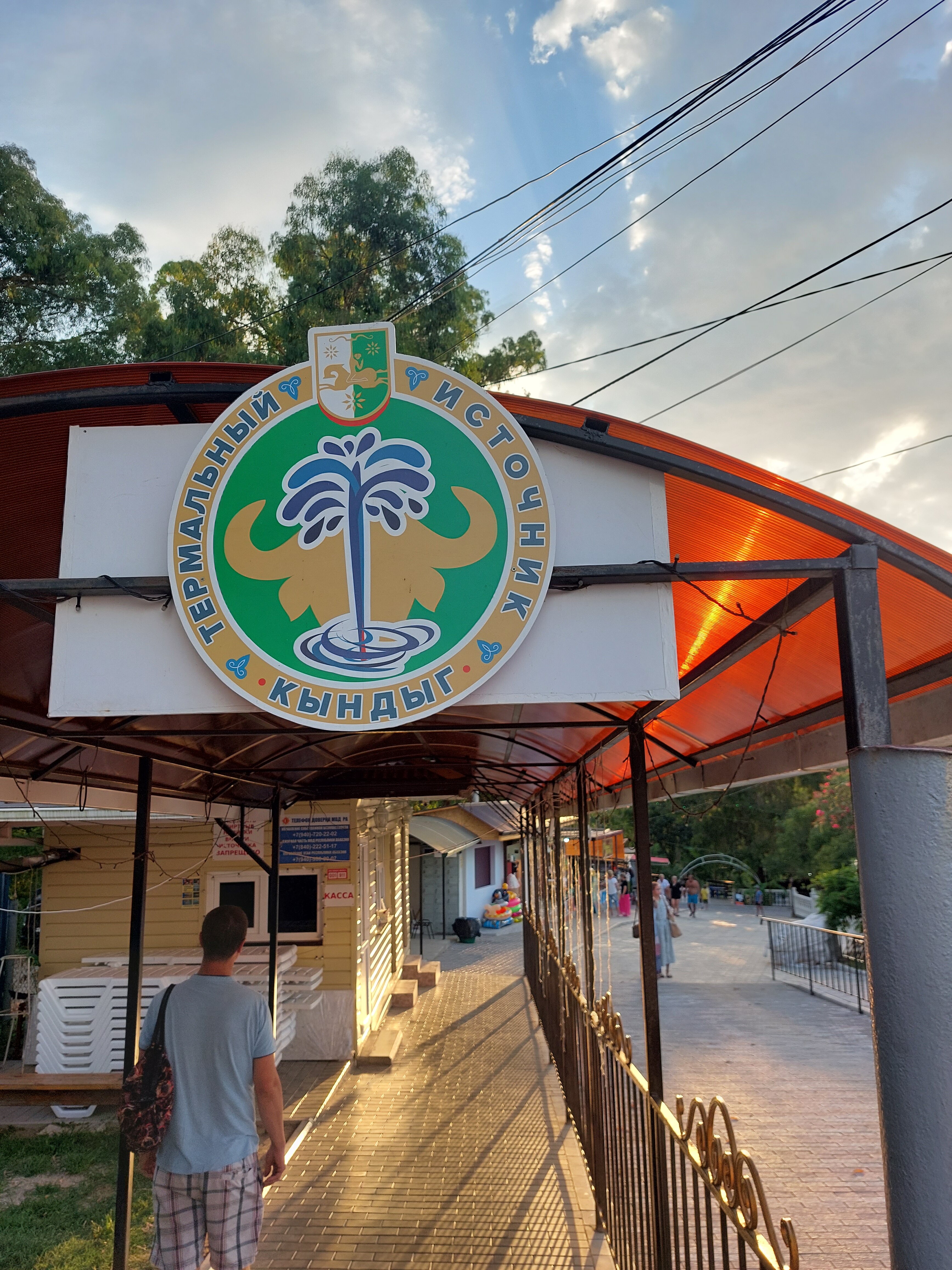 Фото Эвкалиптовая роща