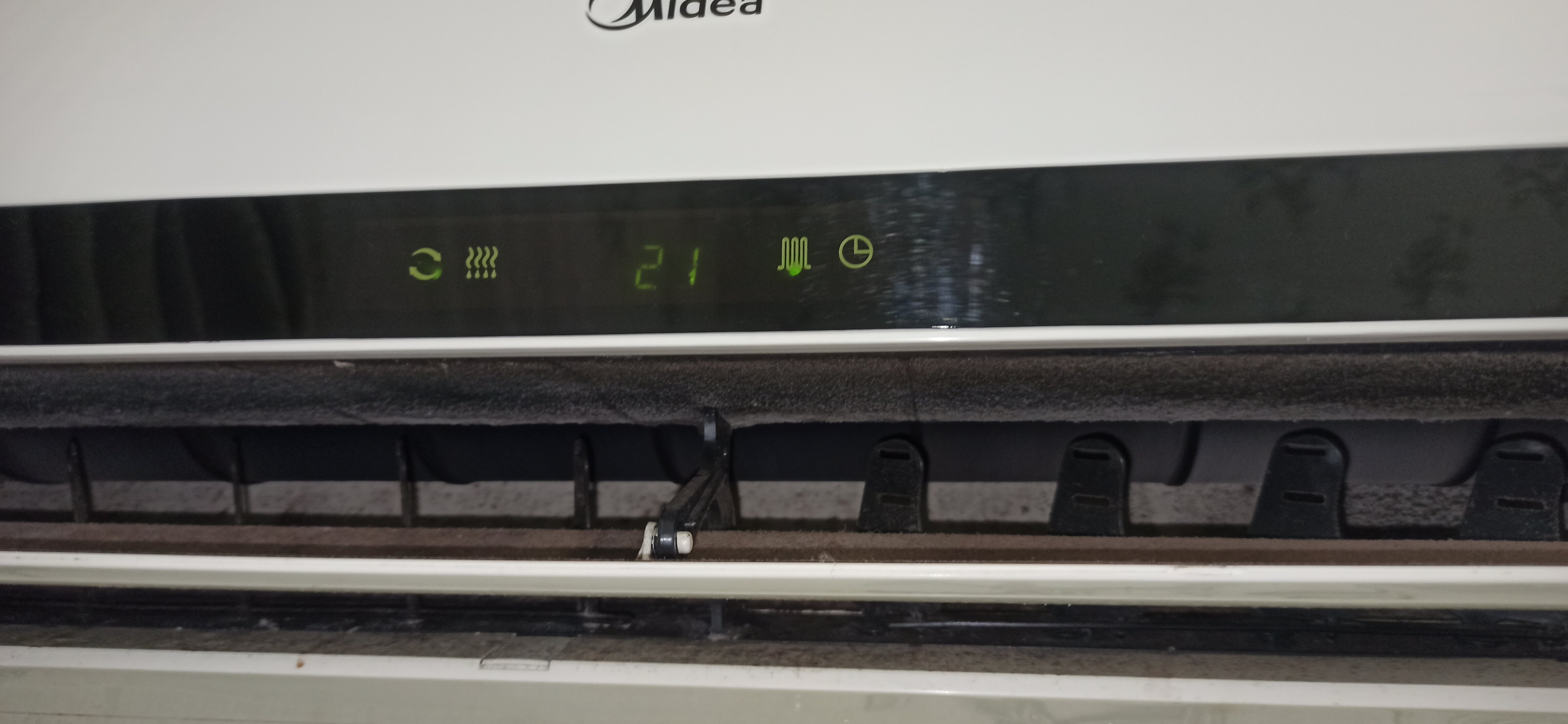 Фото Дельфин