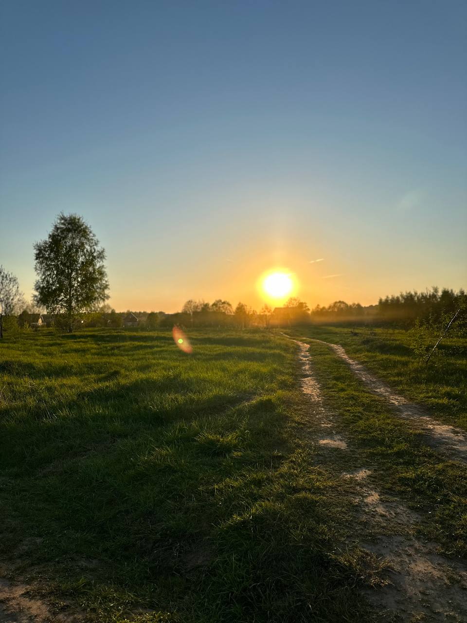 Фото HappyTreeCamp