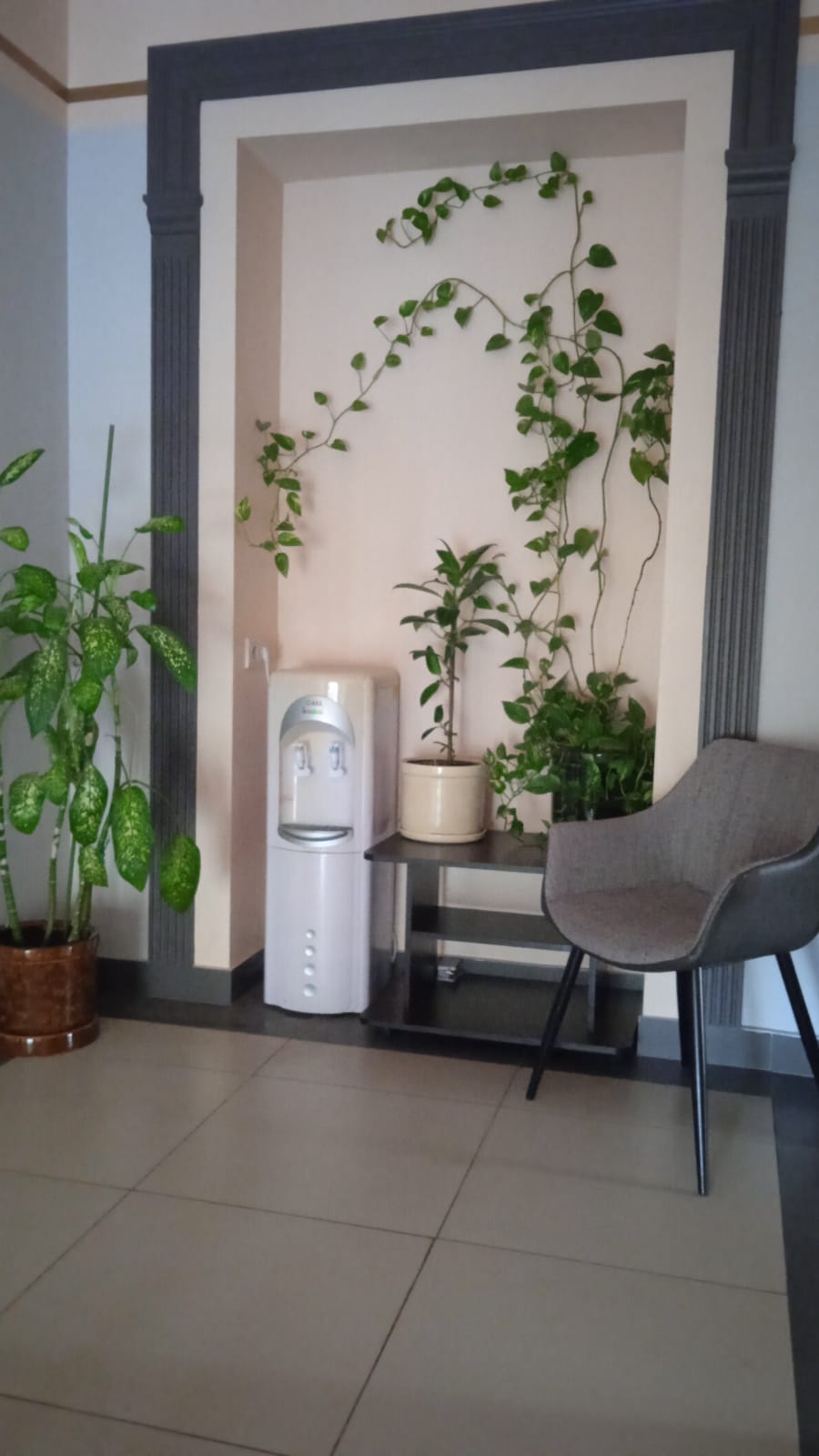 Фото Заречье