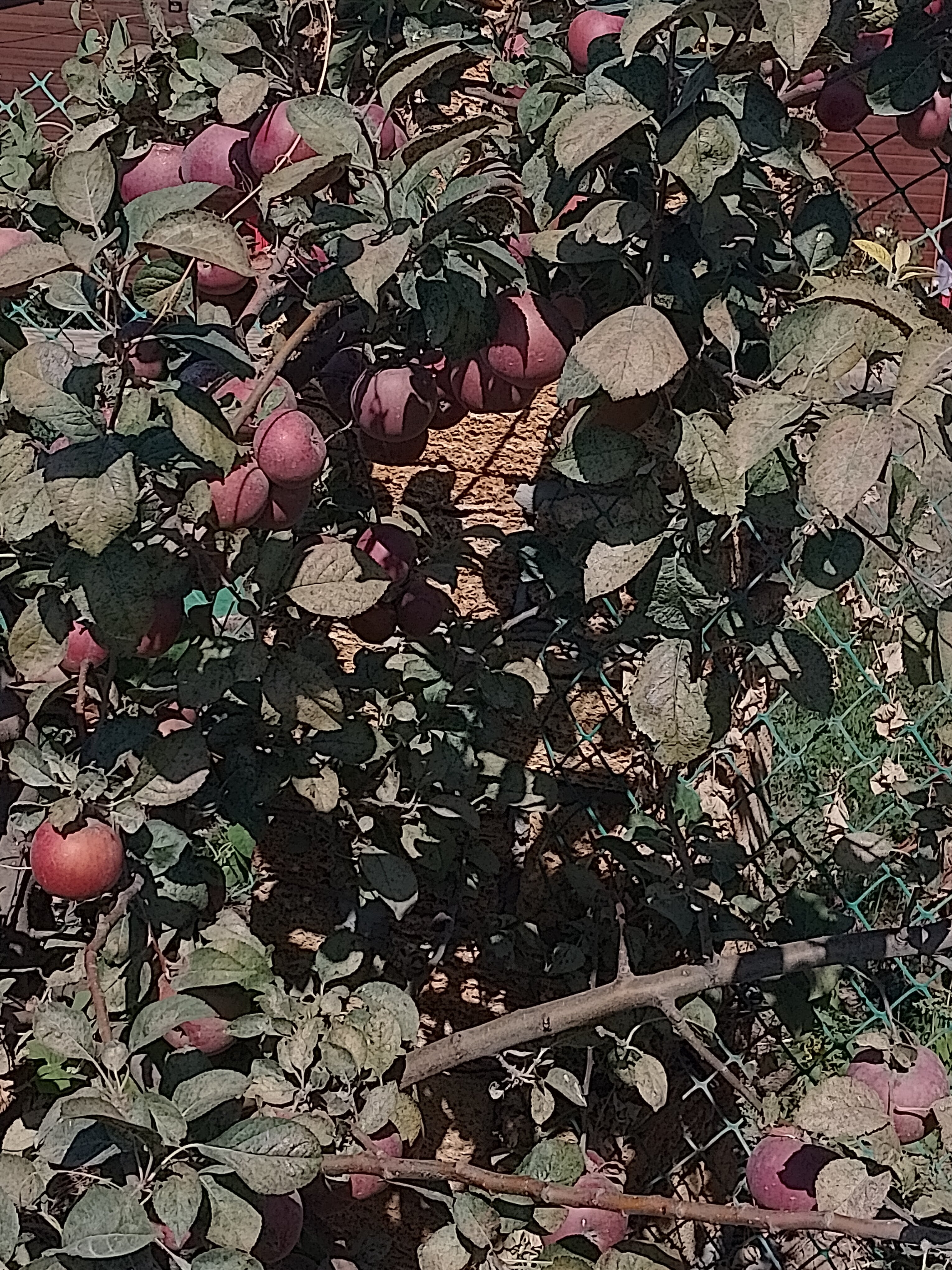 Фото Бунгало Волна