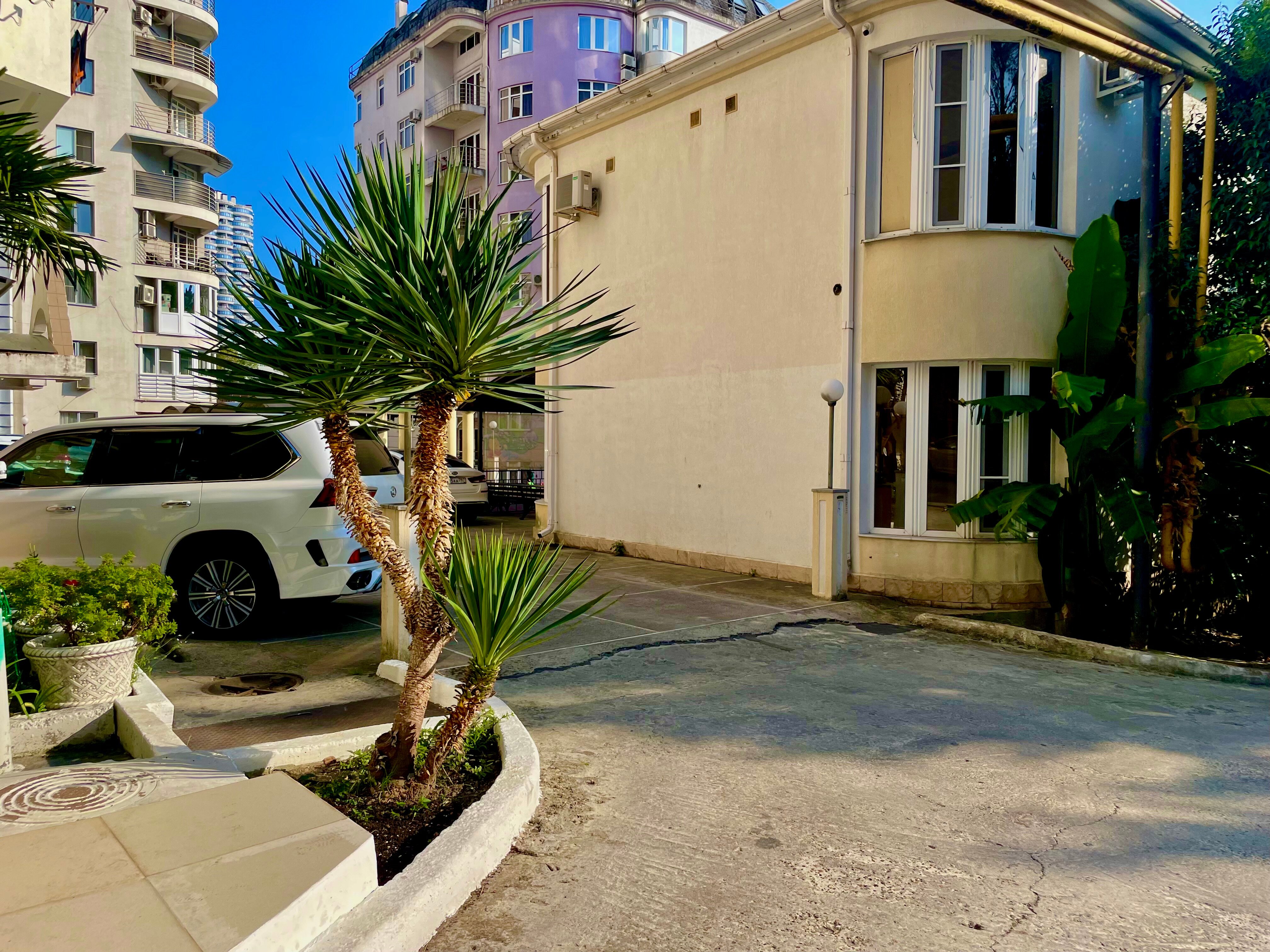 Фото Панда на Бамбуковой