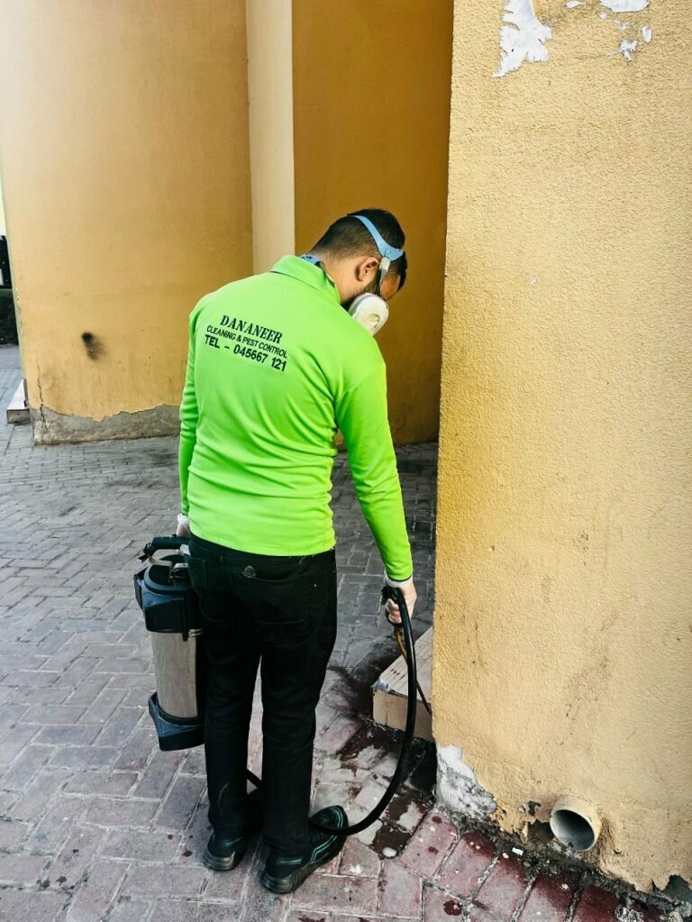 Cleaning services Dananeer Cleaning Services & Pest Control, Dubai, photo