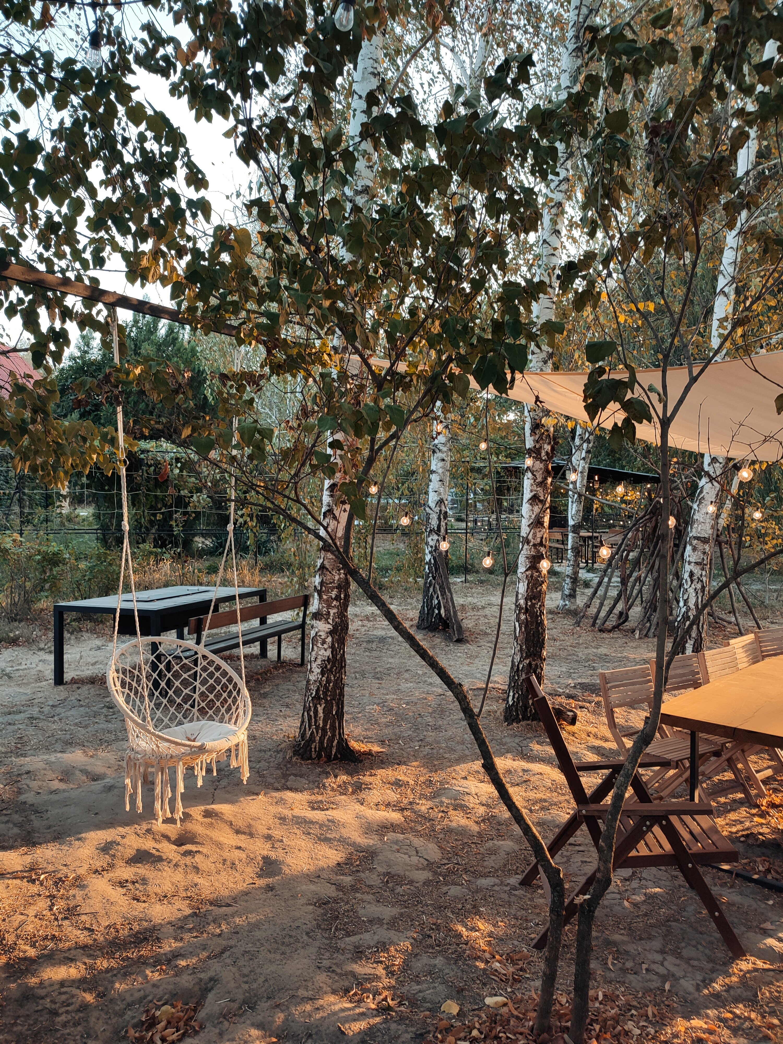 Фото Тихий пруд