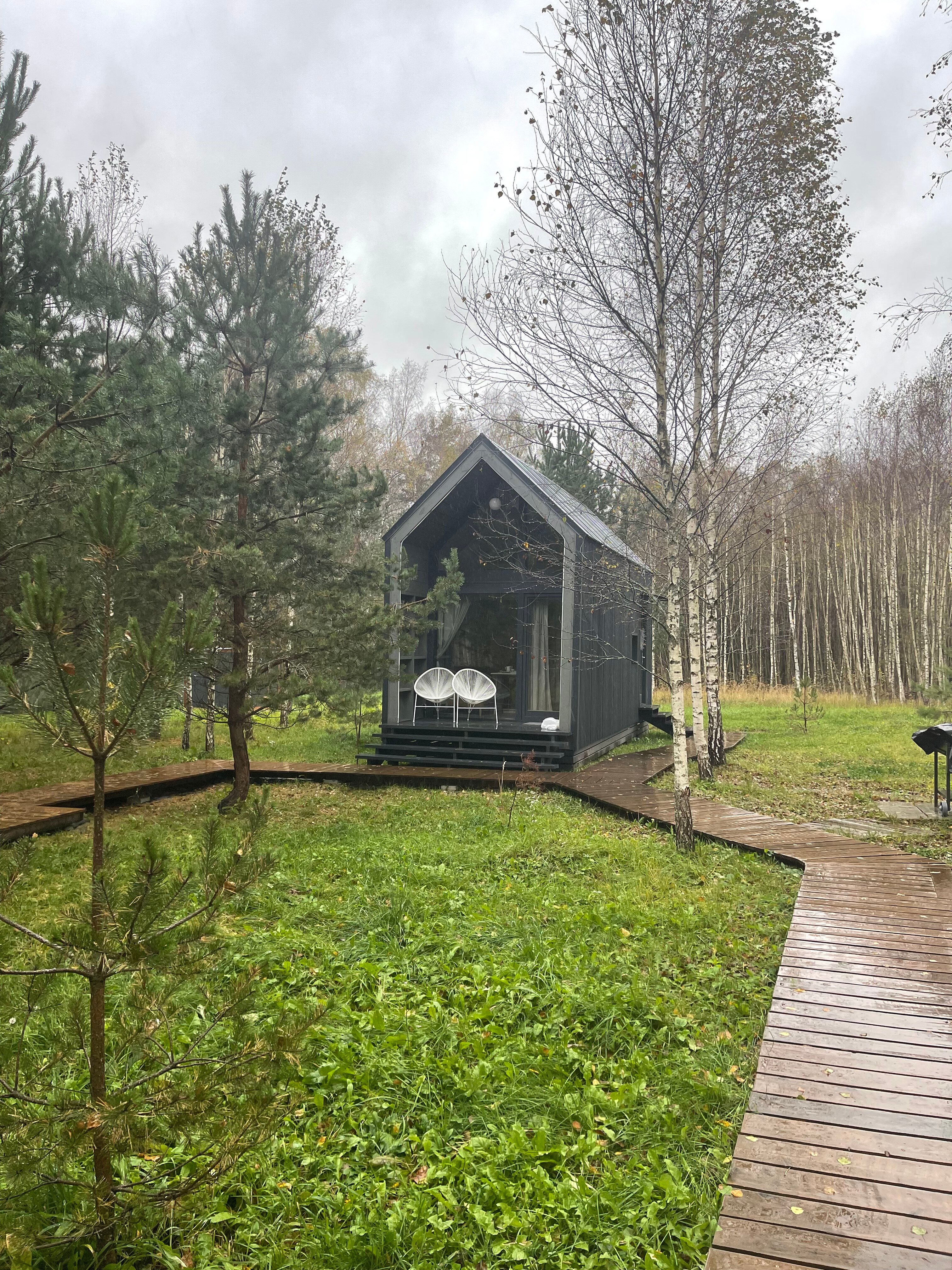 Фото Дыши лесом