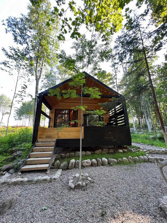 Фото Лес и Гора