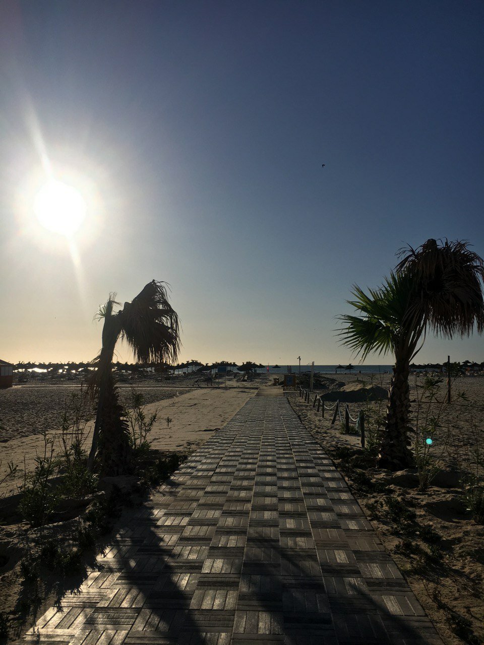 Фото Occidental Marco Polo