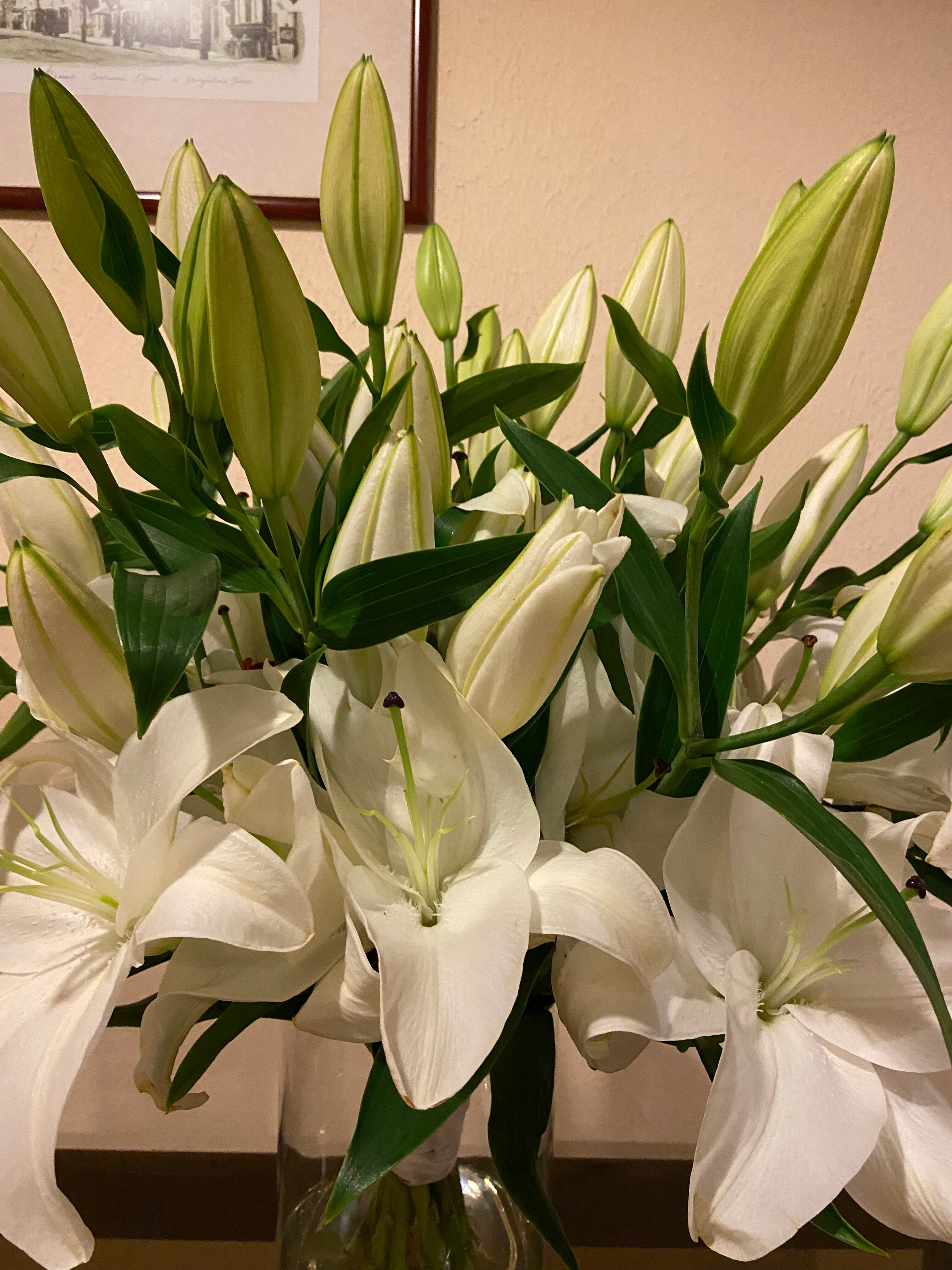 Фото Отель Минск