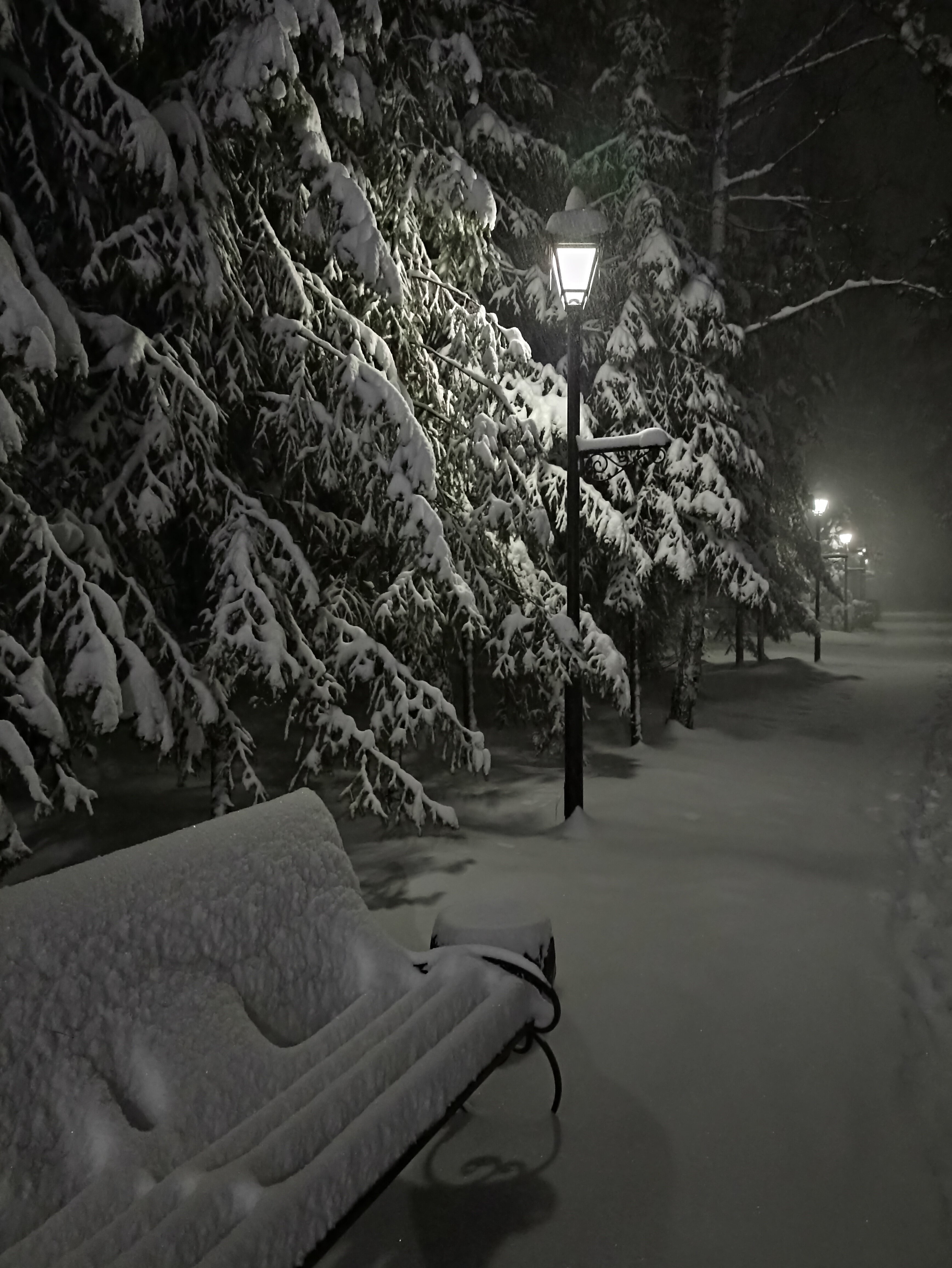 Фото Лесная сказка