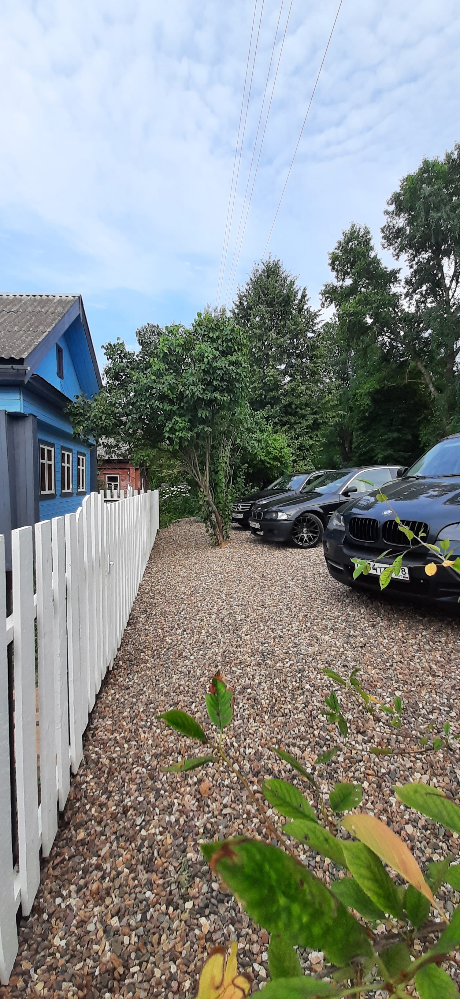 Фото Дом на дереве