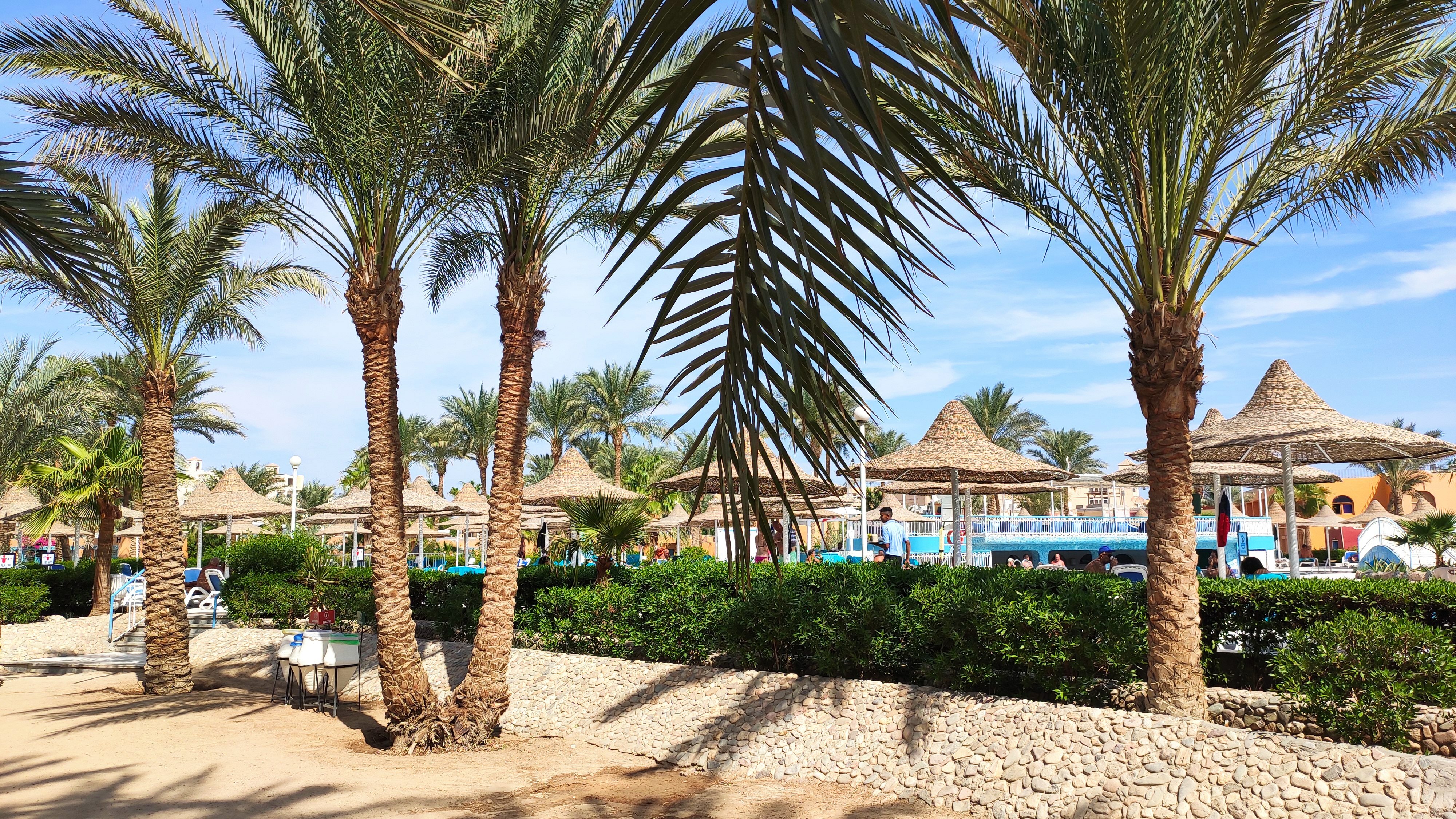 Фото Giftun Azur Resort