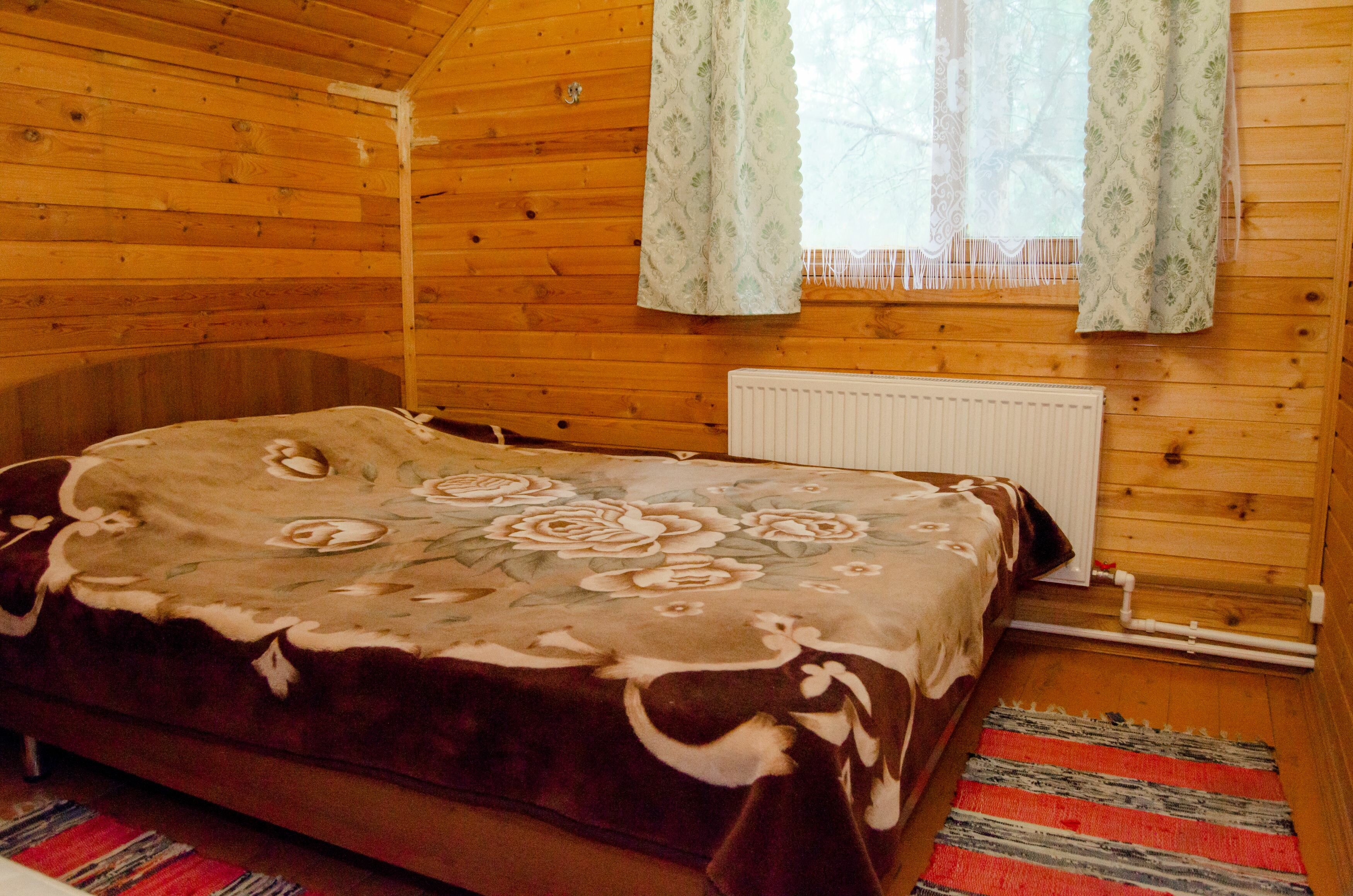 Фото Берёзовая роща