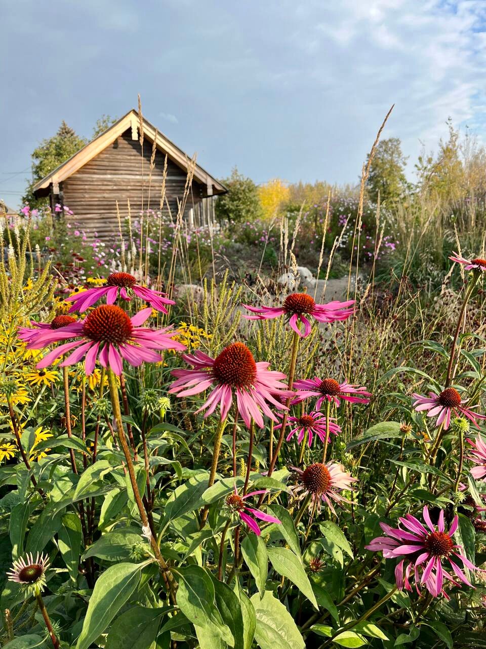 Фото Изба де Шарм