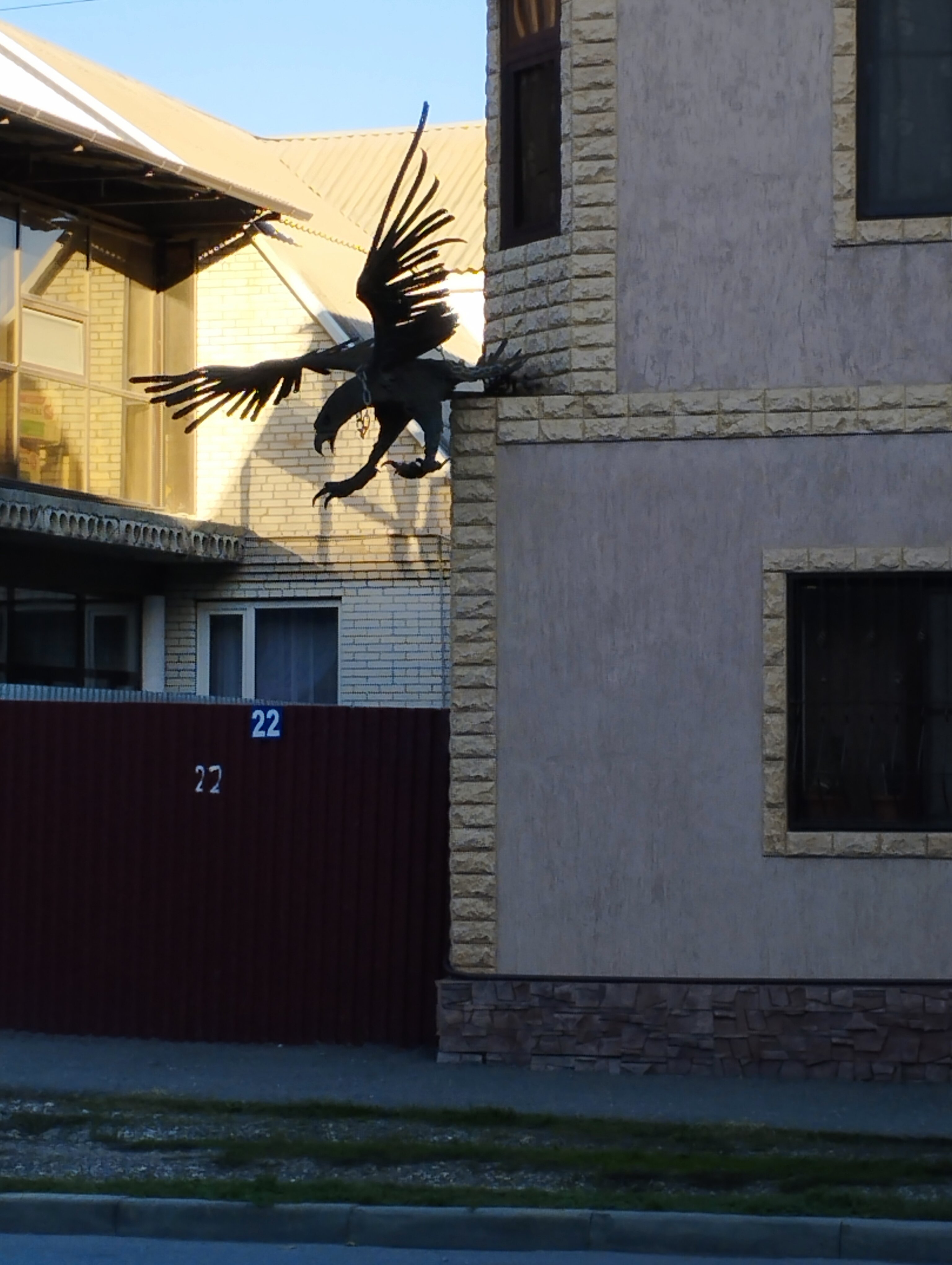 Фото Беркат