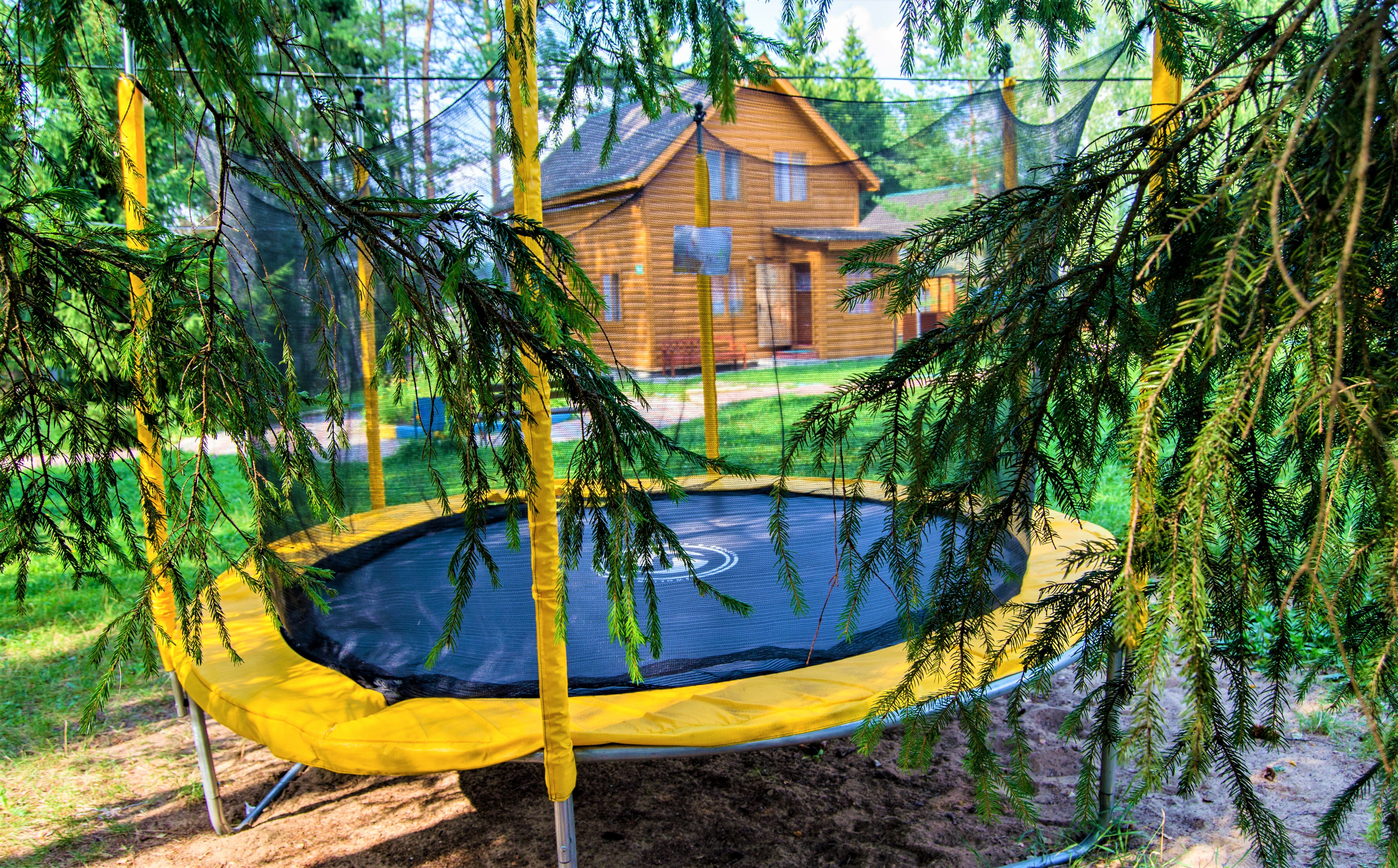 Фото Берёзовая роща